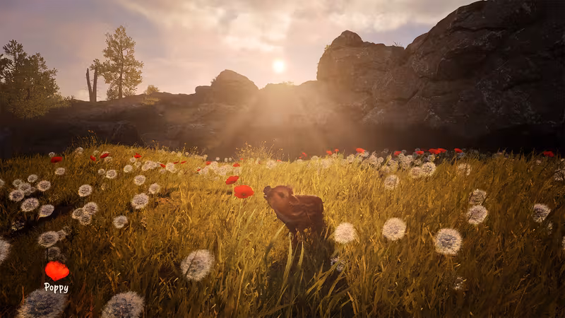 Adorable Adventures - adorable-adventures_6.avif