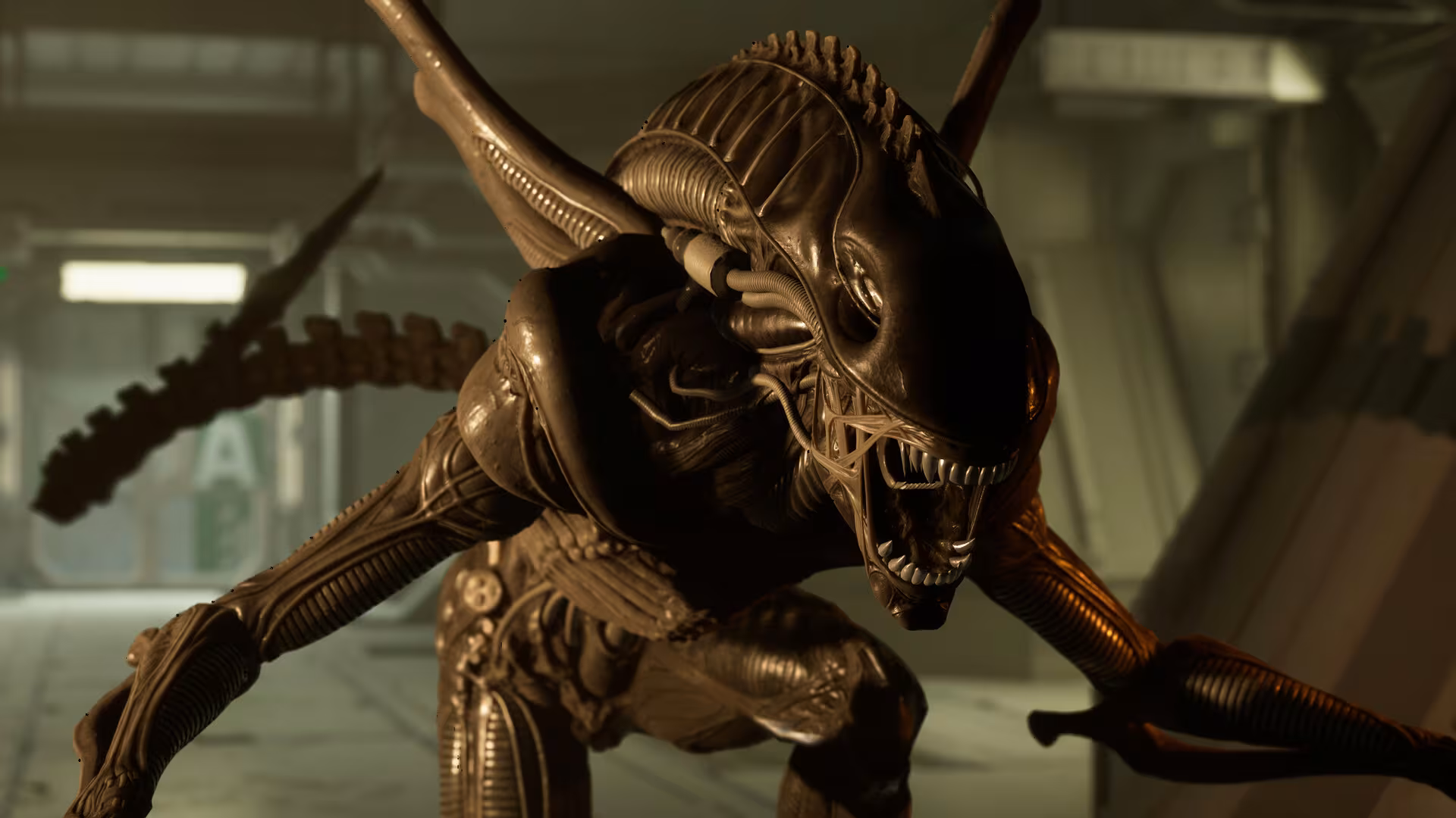Alien: Rogue Incursion VR - alien-rogue-incursion-vr_4.avif