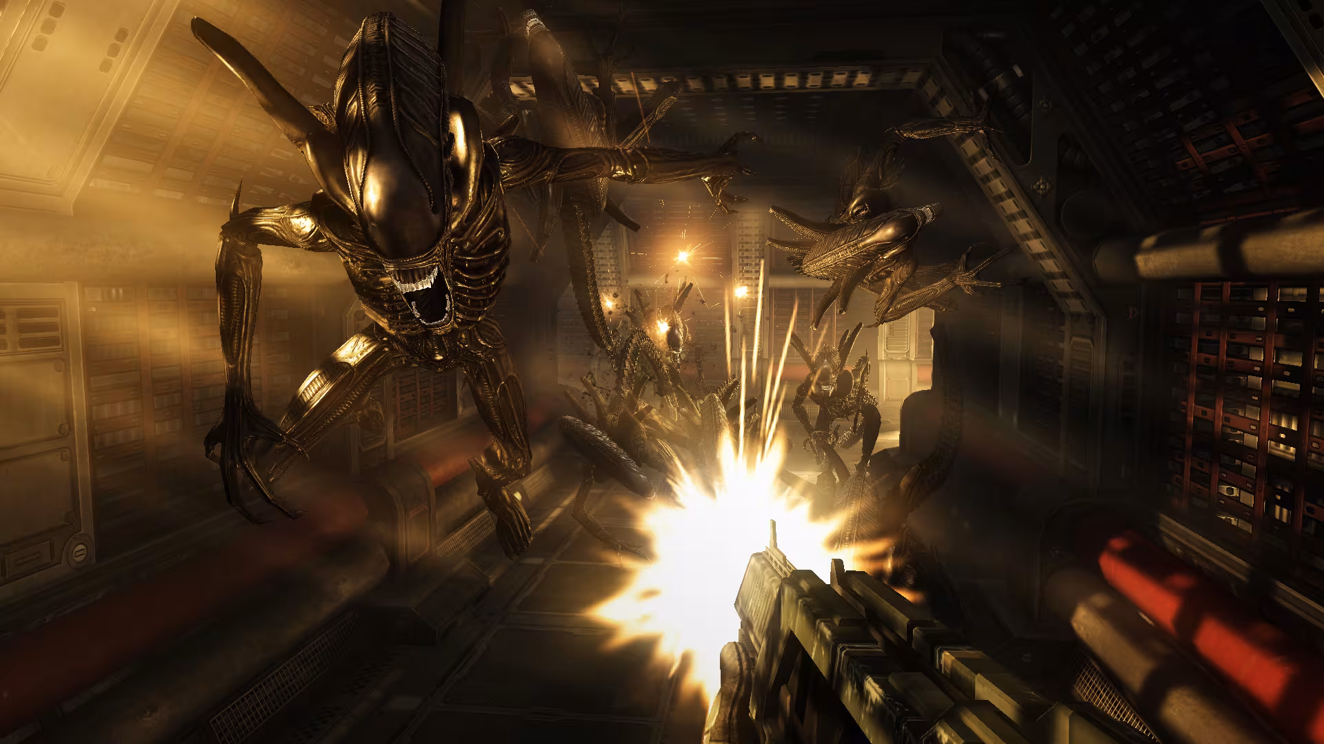 Aliens vs. Predator™ - aliens-vs-predator_3.avif