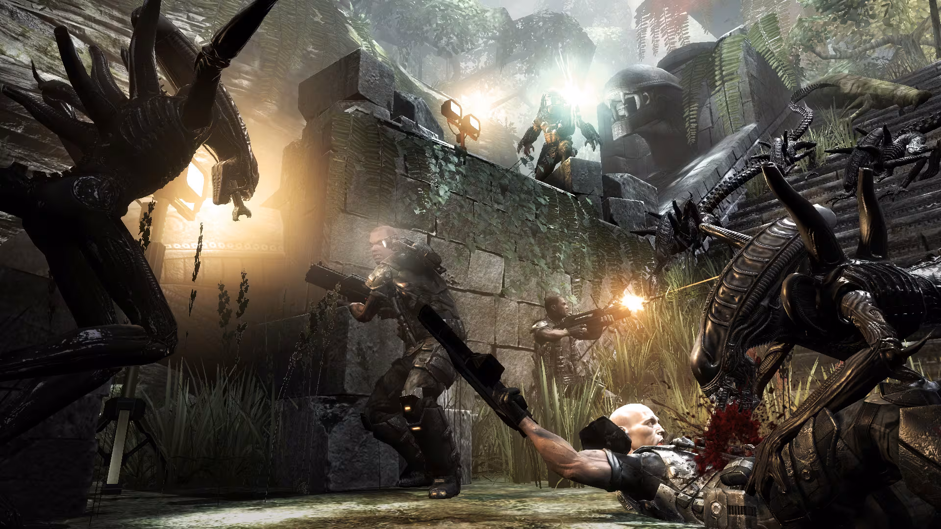 Aliens vs. Predator™ - aliens-vs-predator_5.avif