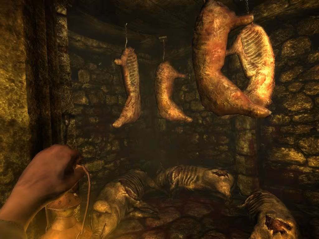 Amnesia: The Dark Descent - amnesia-the-dark-descent_2.avif