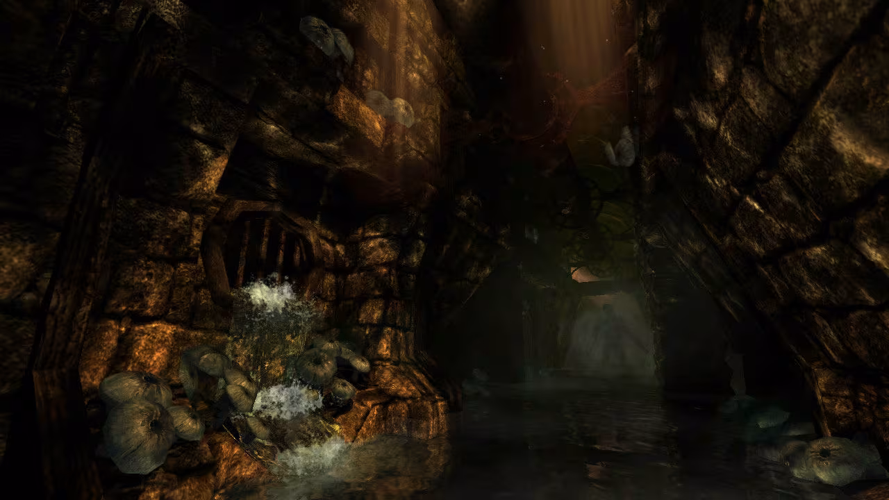 Amnesia: The Dark Descent - amnesia-the-dark-descent_5.avif
