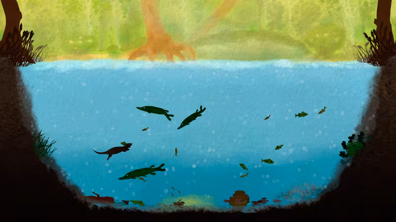 Among Ripples - among-ripples_2.avif