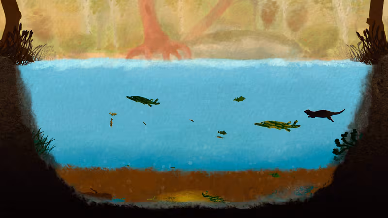 Among Ripples - among-ripples_3.avif