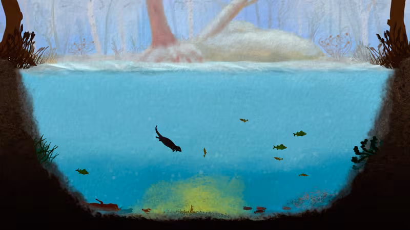 Among Ripples - among-ripples_4.avif