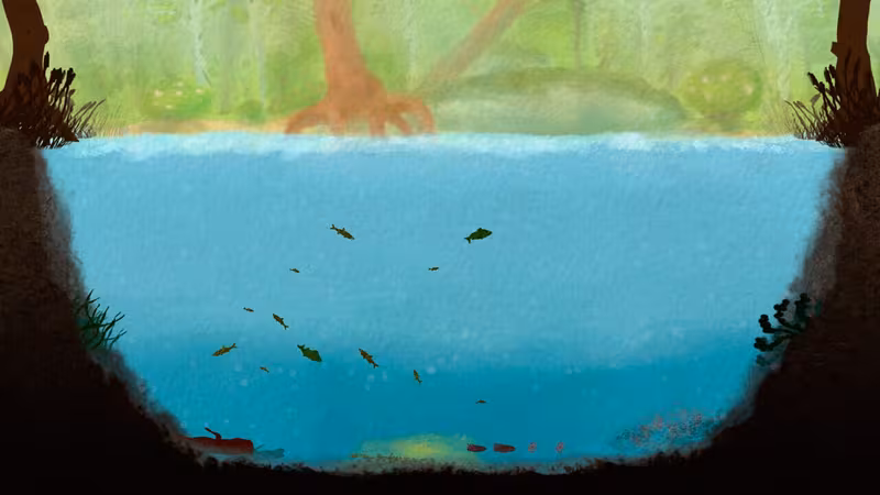 Among Ripples - among-ripples_6.avif