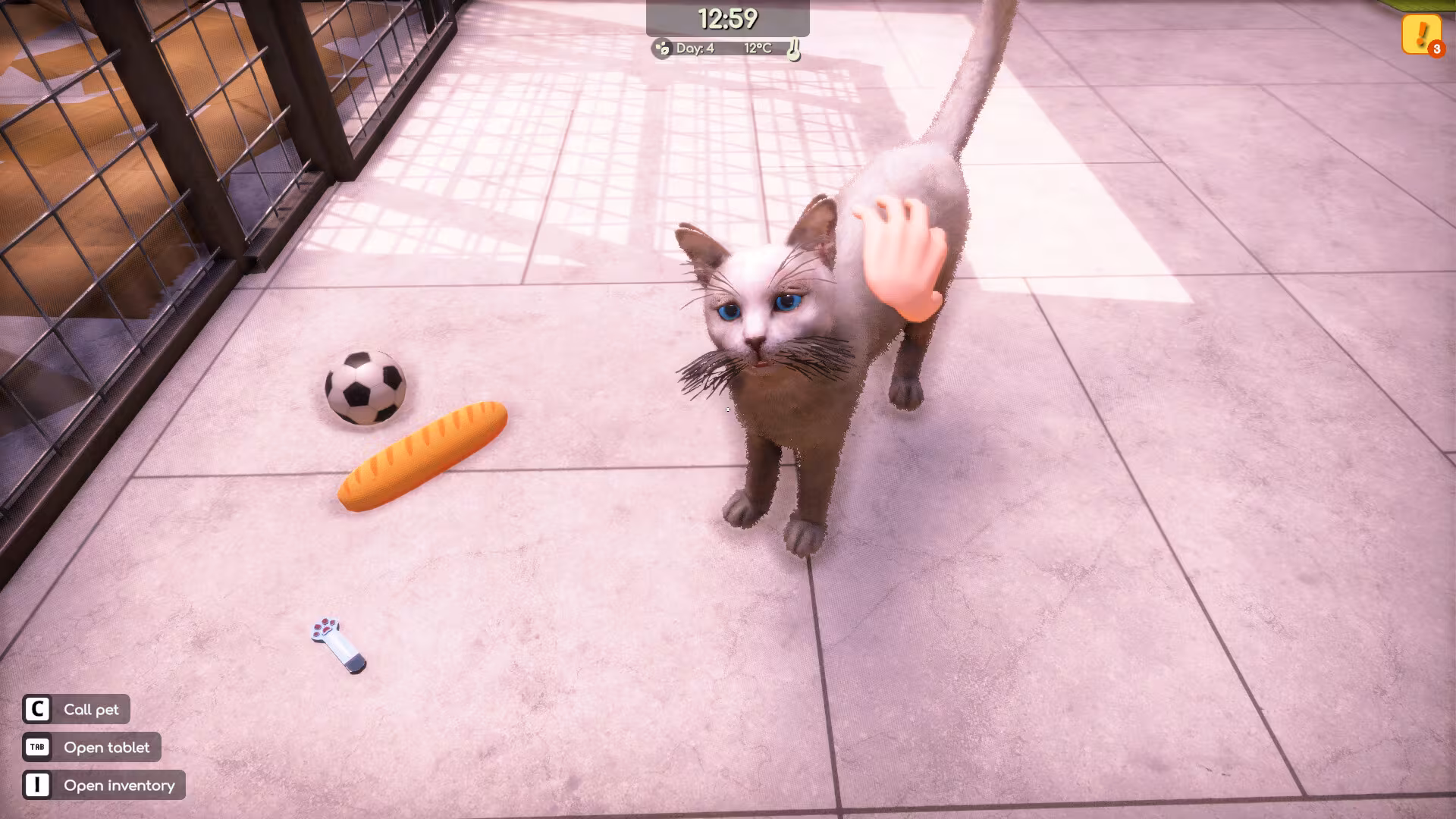 Animal Shelter 2 - animal-shelter-2_2.avif