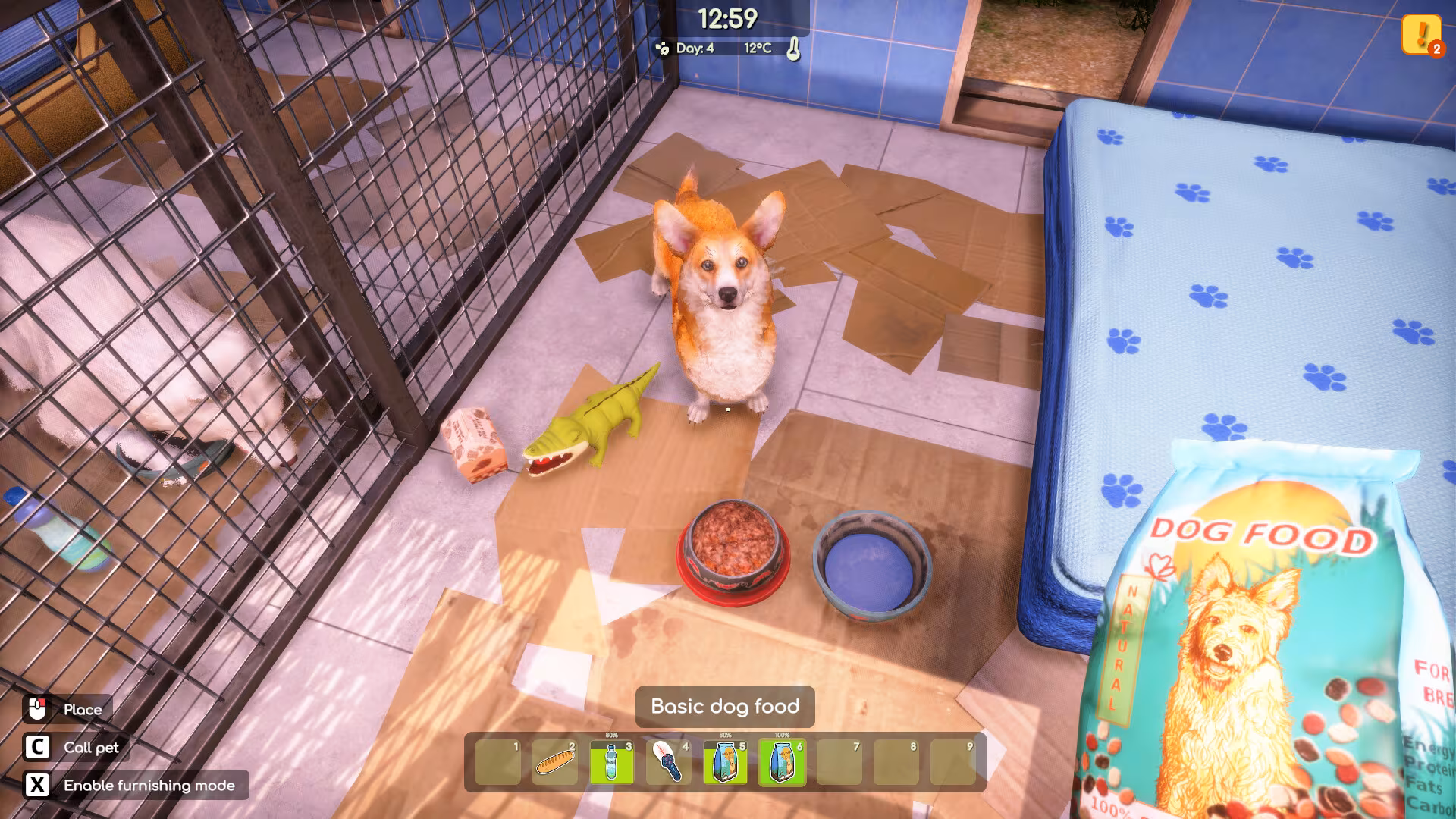 Animal Shelter 2 - animal-shelter-2_3.avif