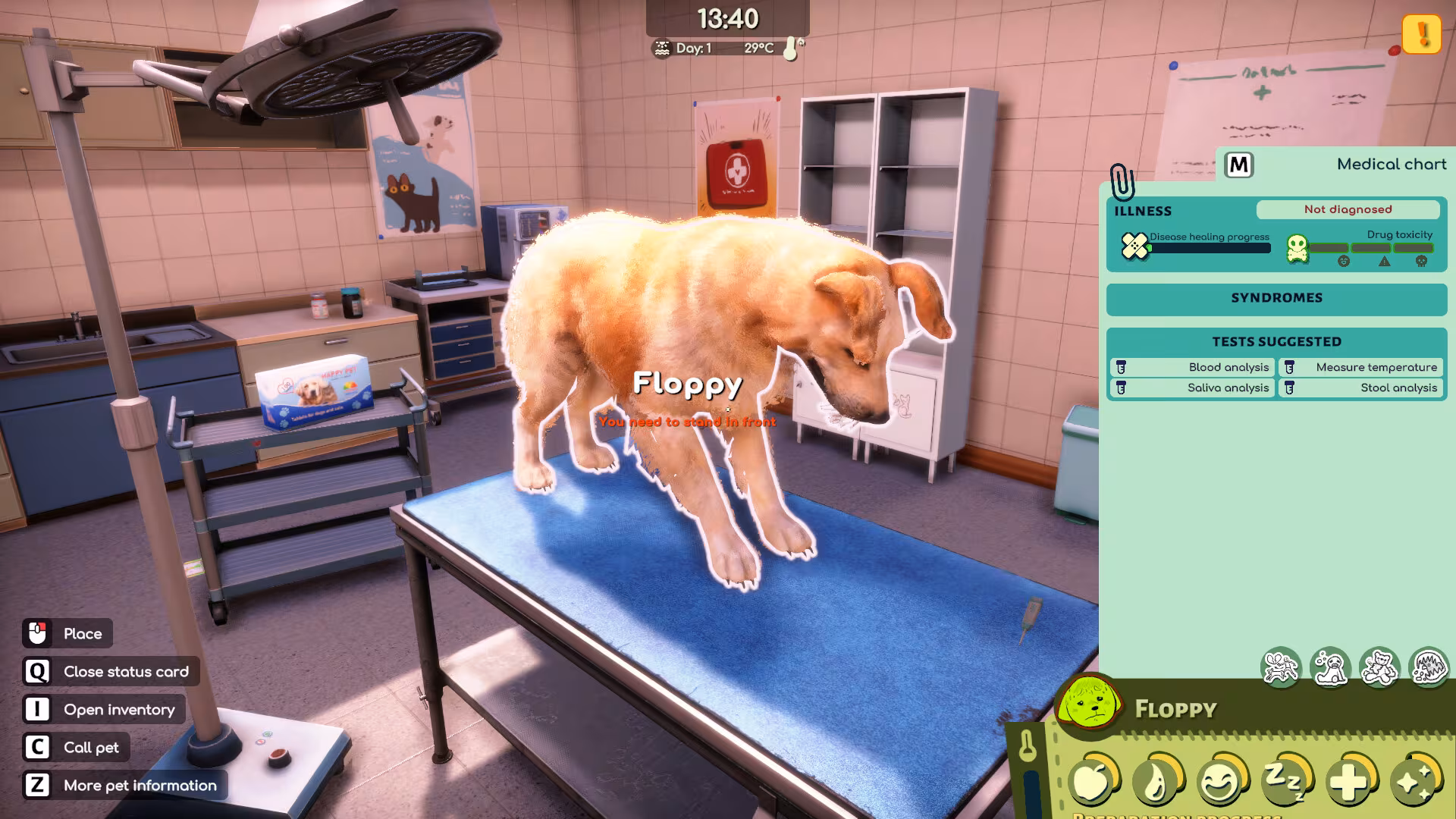 Animal Shelter 2 - animal-shelter-2_4.avif