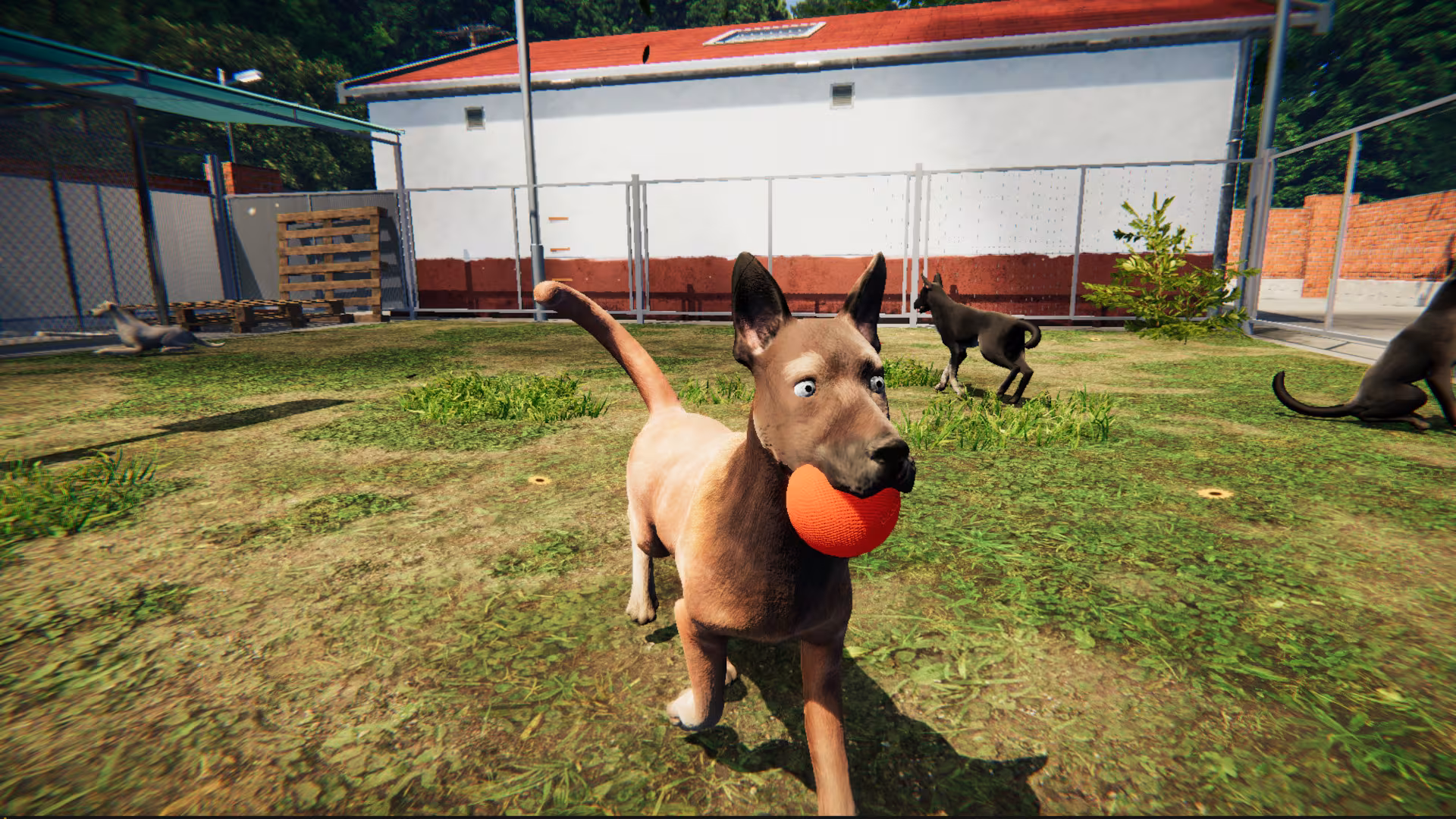 Animal Shelter: Prologue - animal-shelter-prologue_2.avif