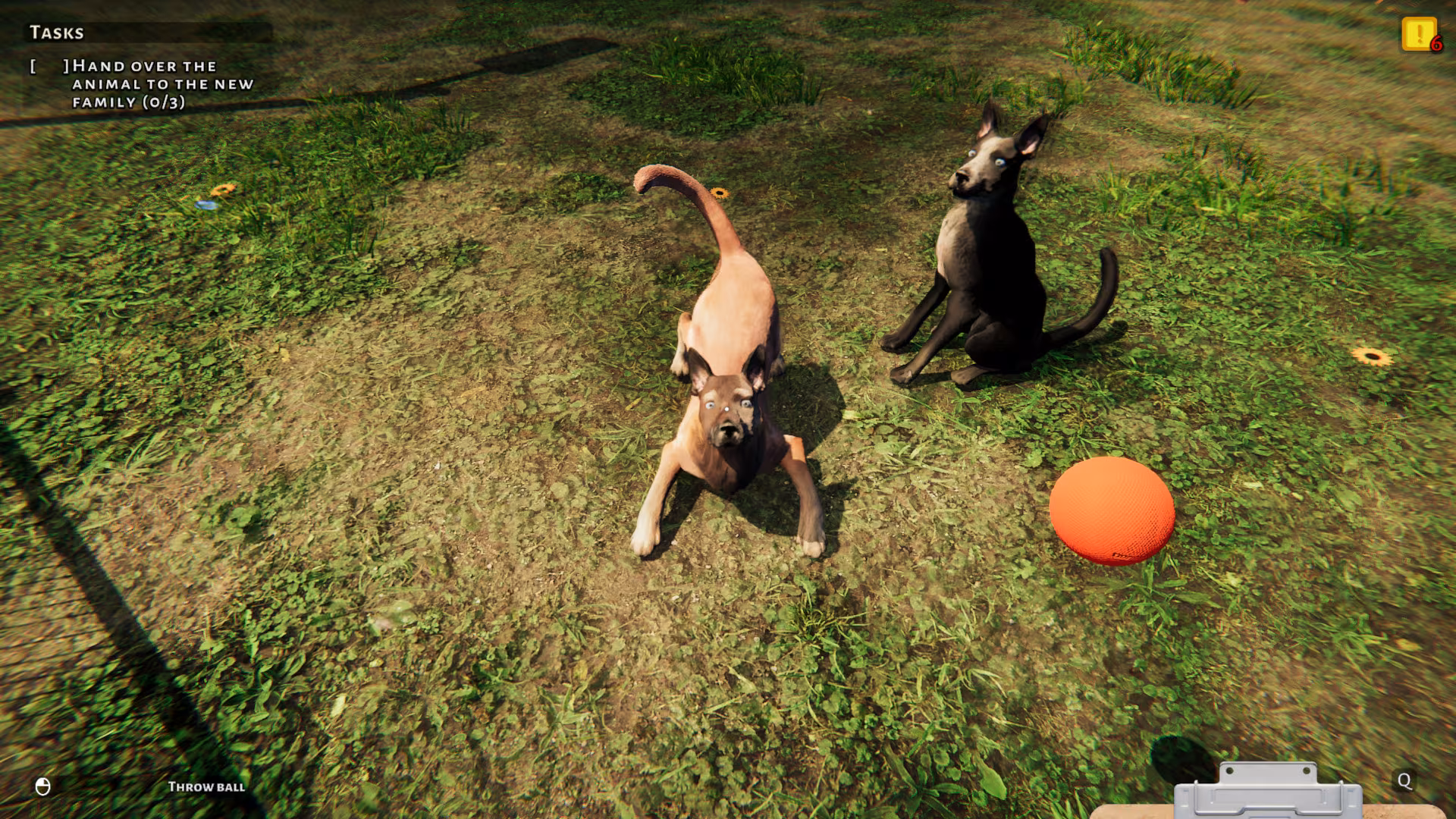 Animal Shelter: Prologue - animal-shelter-prologue_3.avif