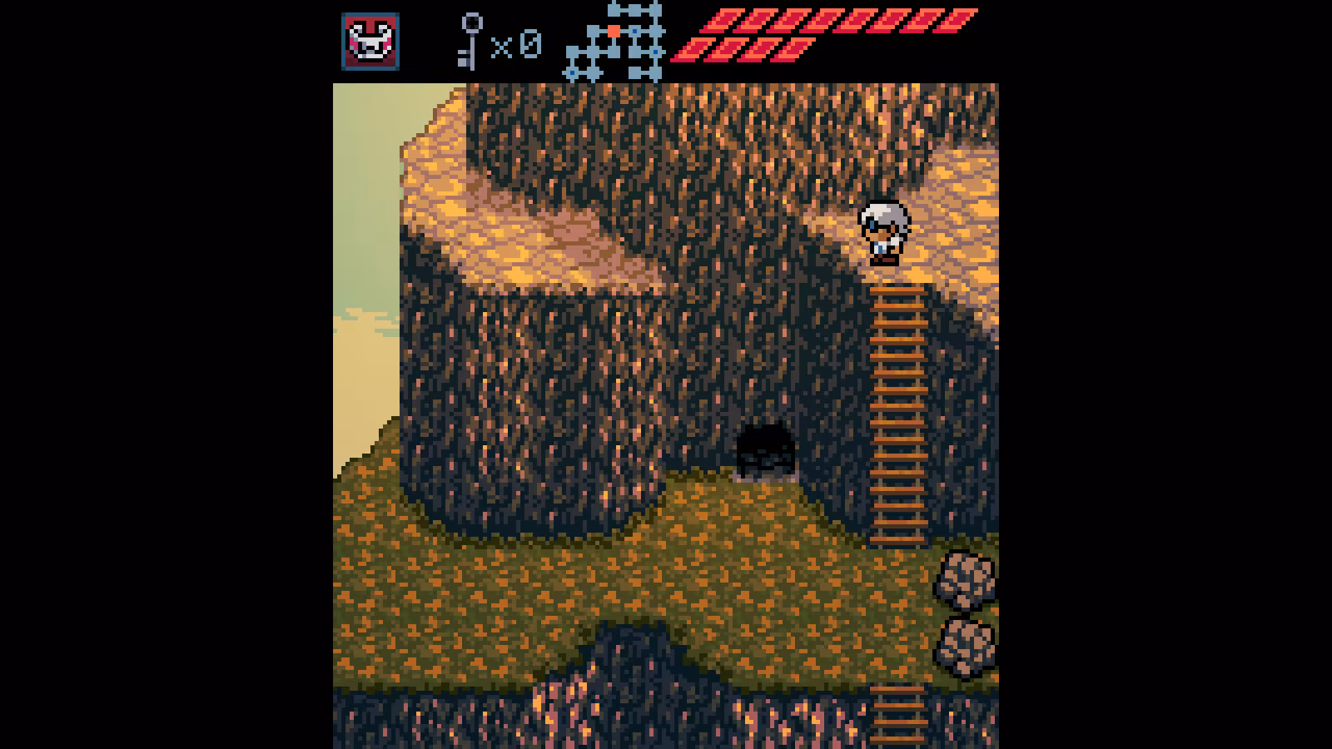 Anodyne - anodyne_4.avif