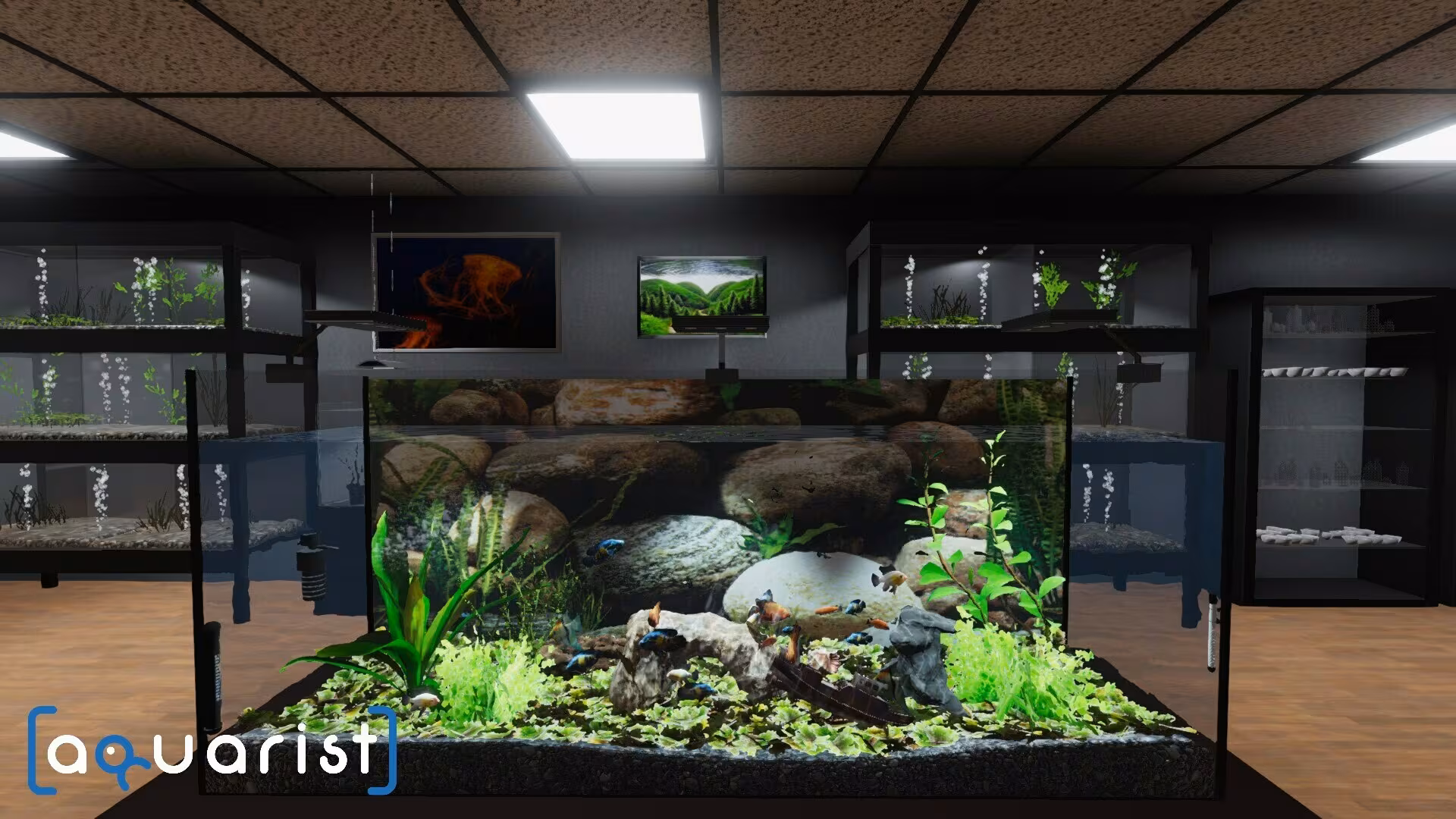 Aquarist - aquarist_1.avif