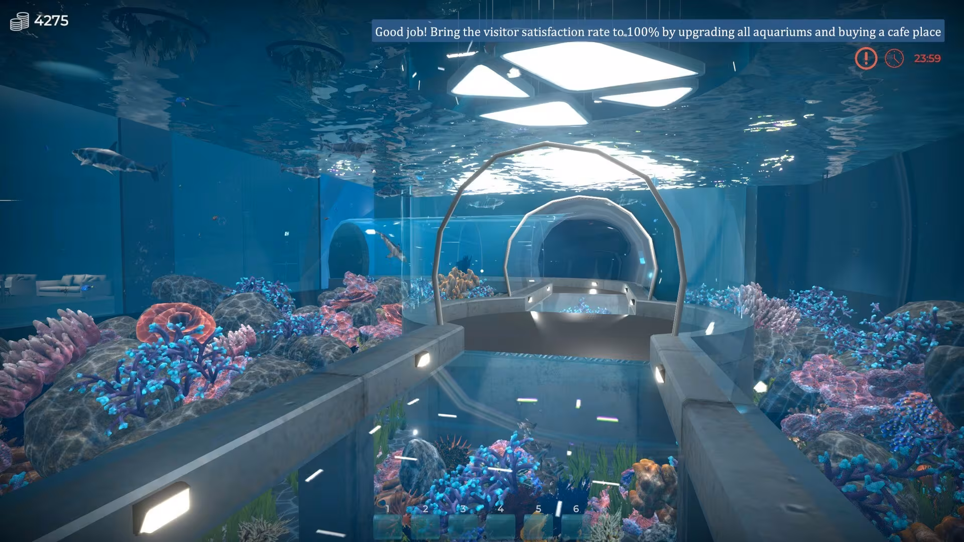 Aquarist - aquarist_2.avif