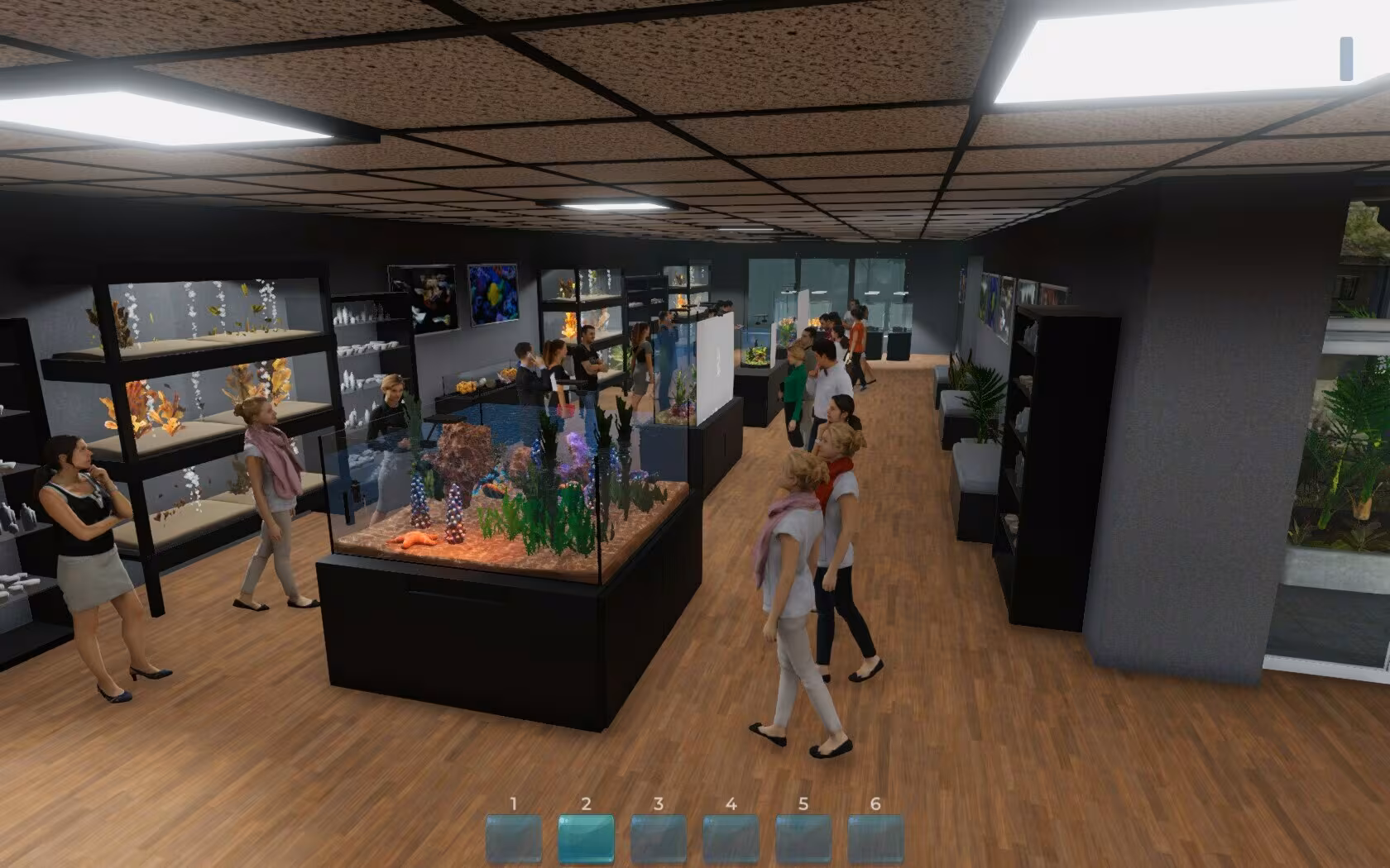 Aquarist - aquarist_3.avif