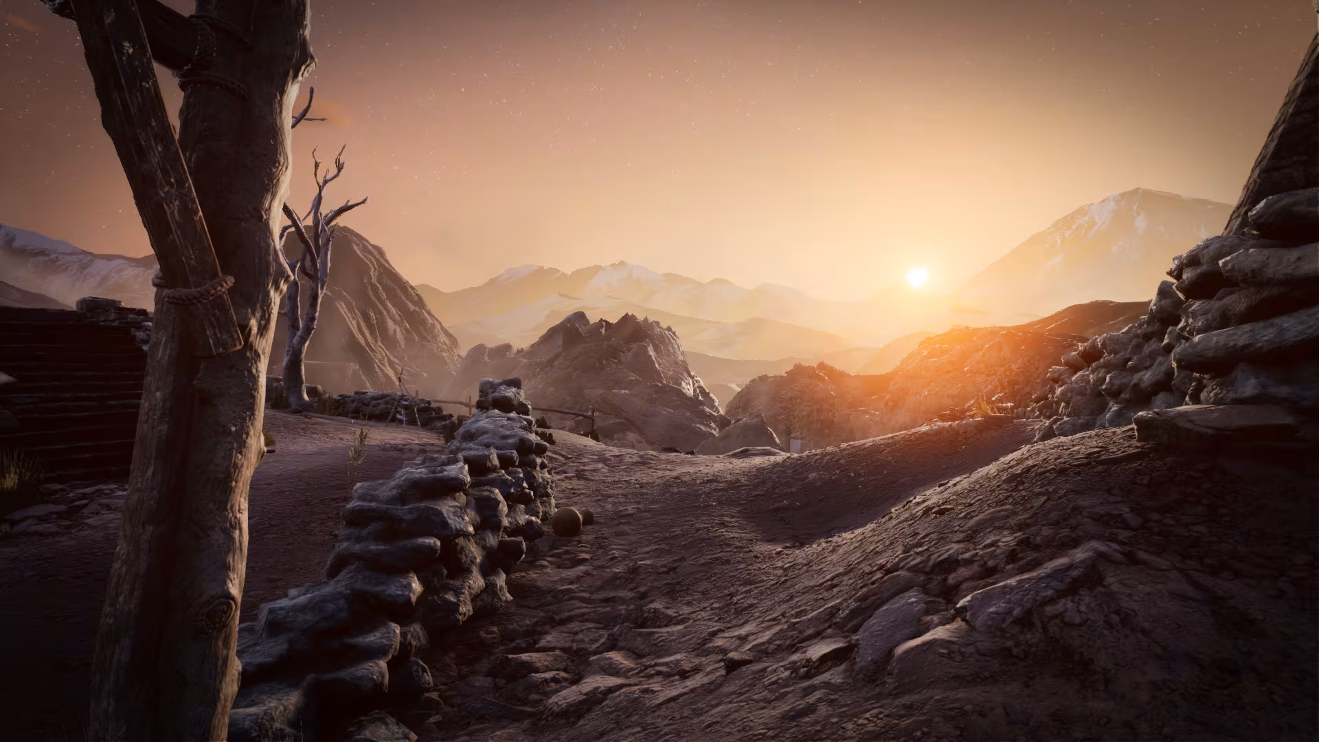 Arid - arid_2.avif