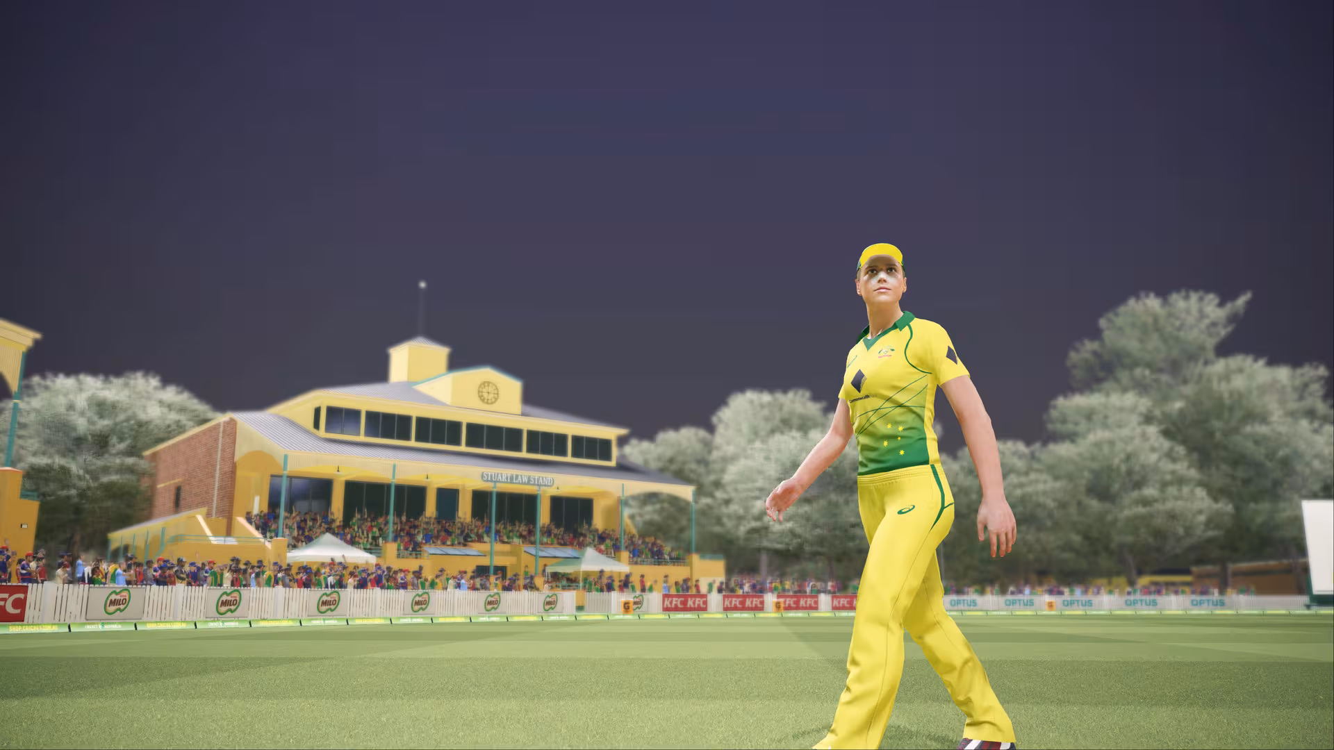 Ashes Cricket - ashes-cricket_3.avif