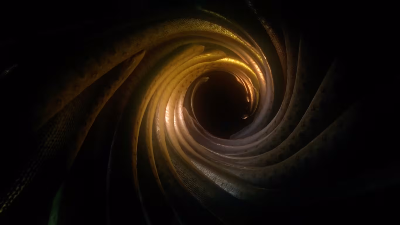 Ayahuasca - ayahuasca_6.avif