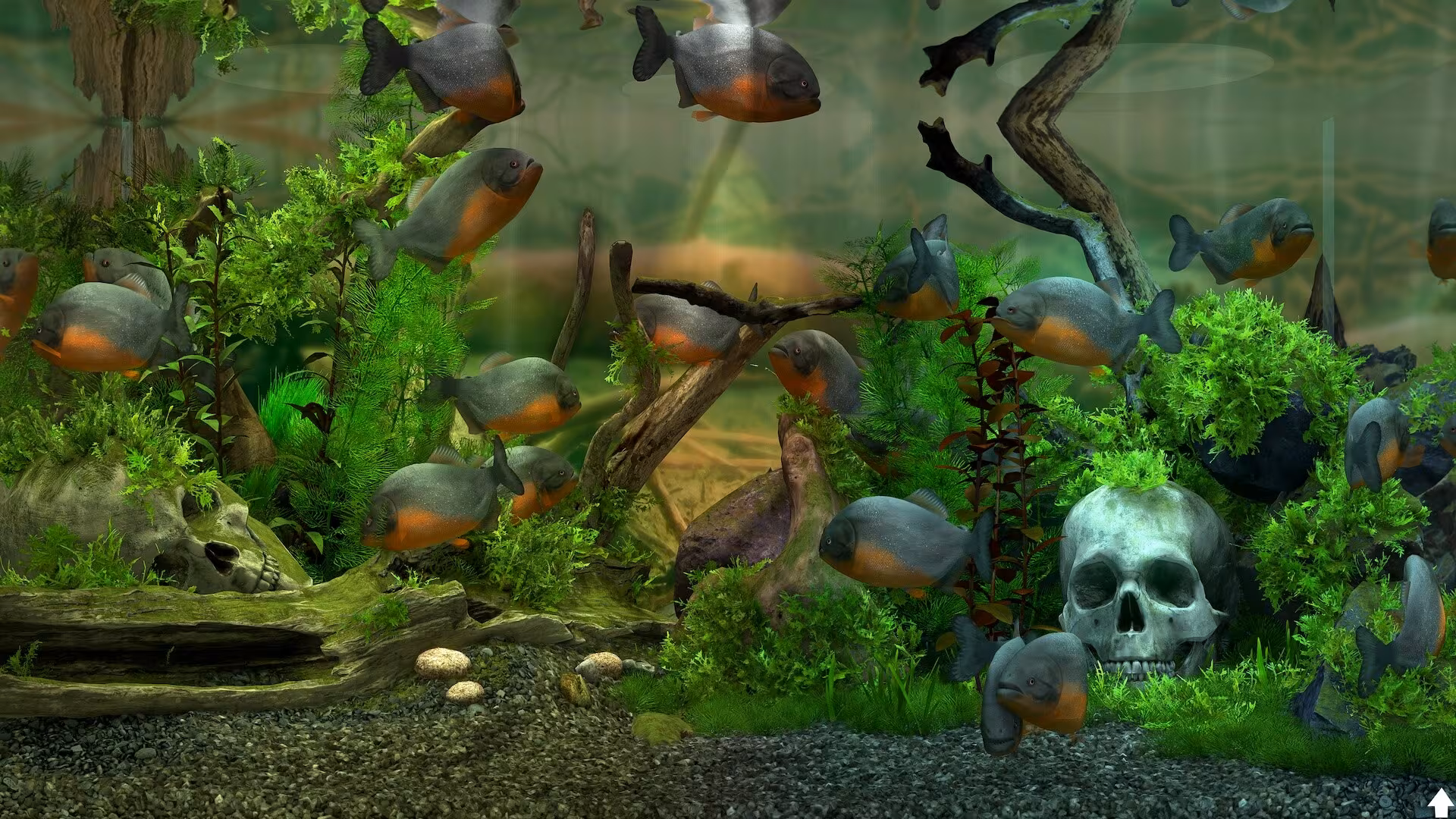 Behind Glass: Aquarium Simulator - behind-glass-aquarium-simulator_5.avif