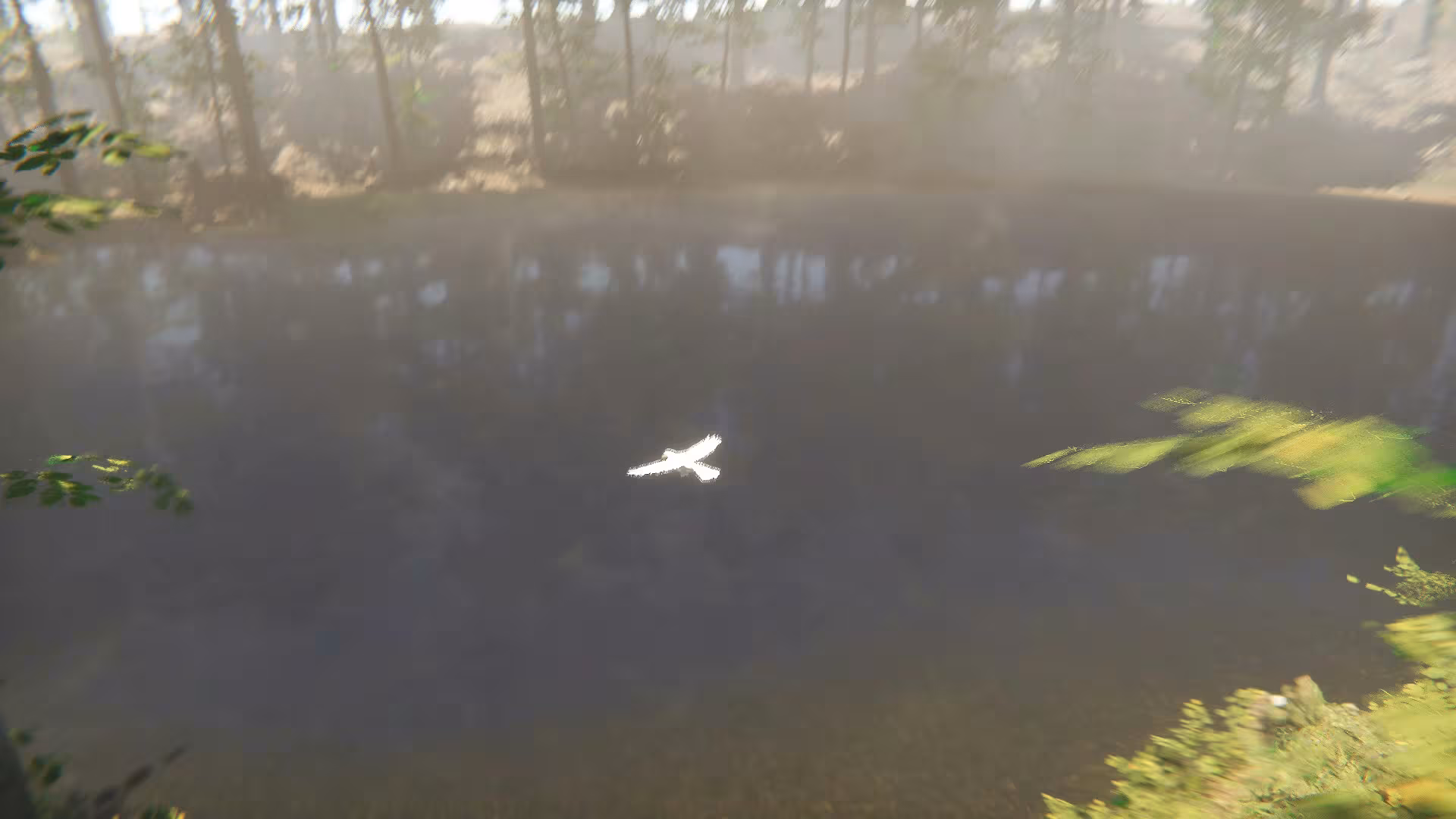 Bird - bird_4.avif