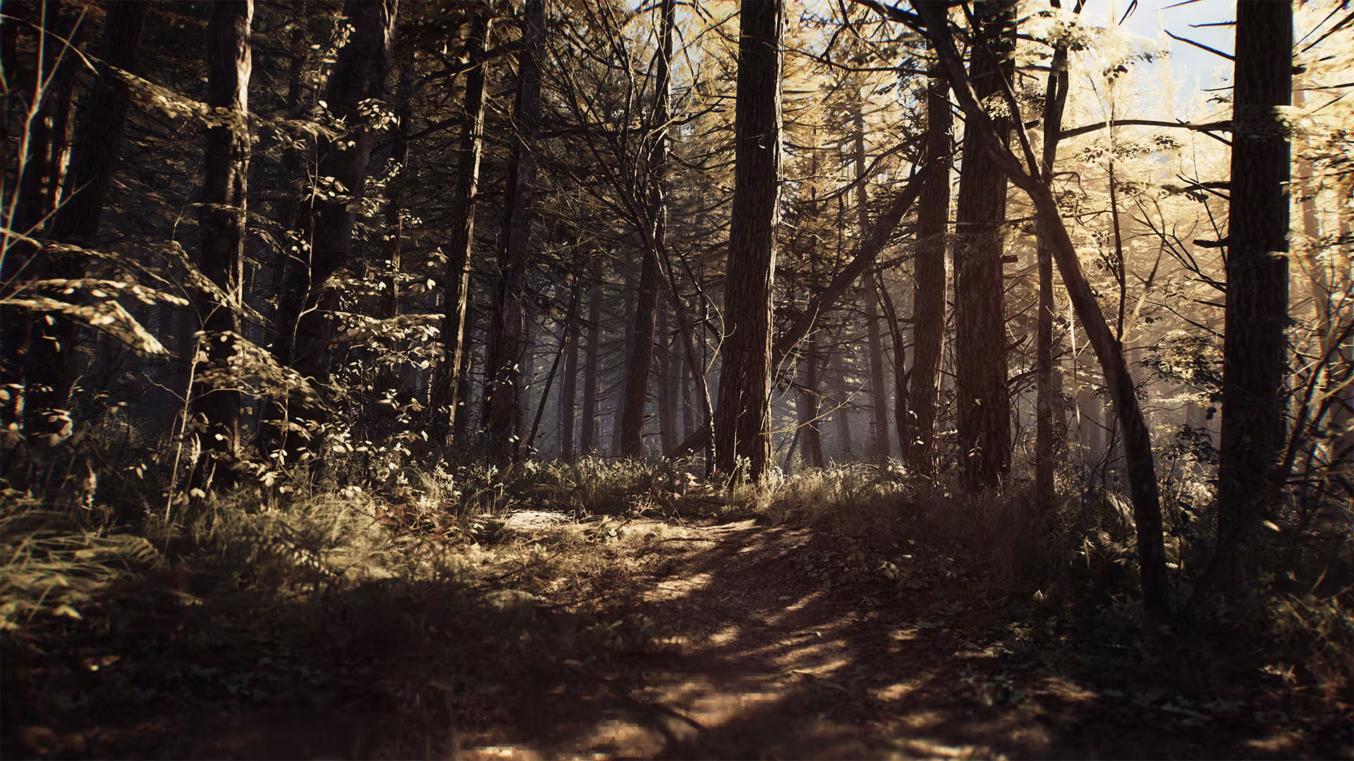 Blair Witch - blair-witch_4.avif