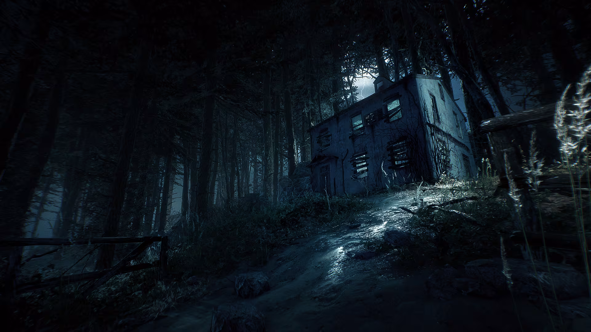 Blair Witch - blair-witch_6.avif