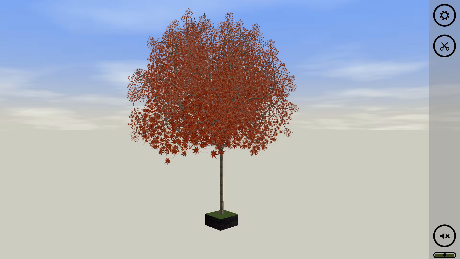 Bonsai - bonsai_2.avif