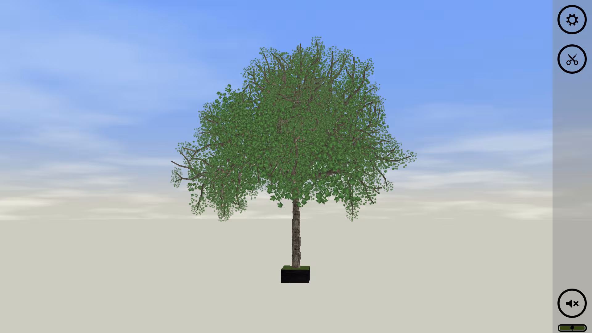 Bonsai - bonsai_4.avif