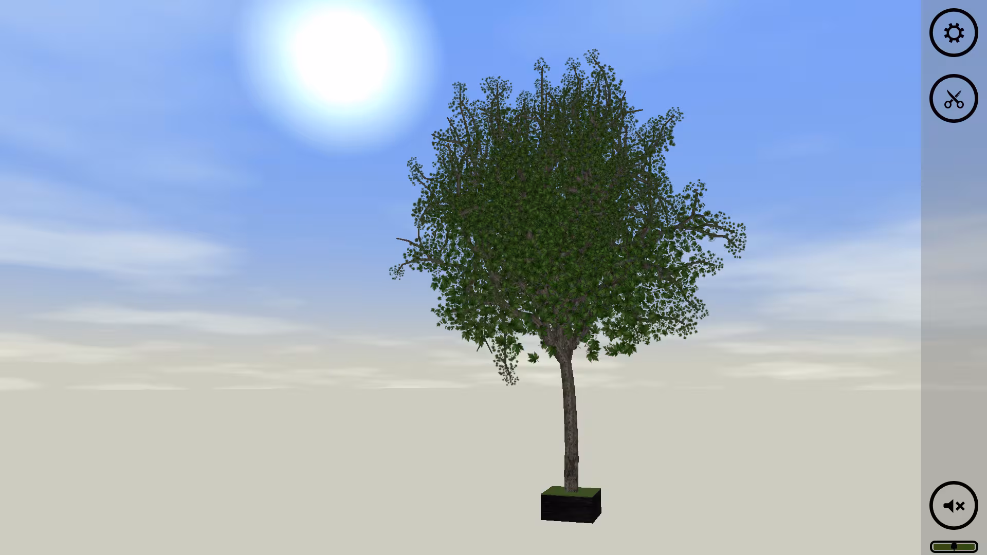 Bonsai - bonsai_6.avif