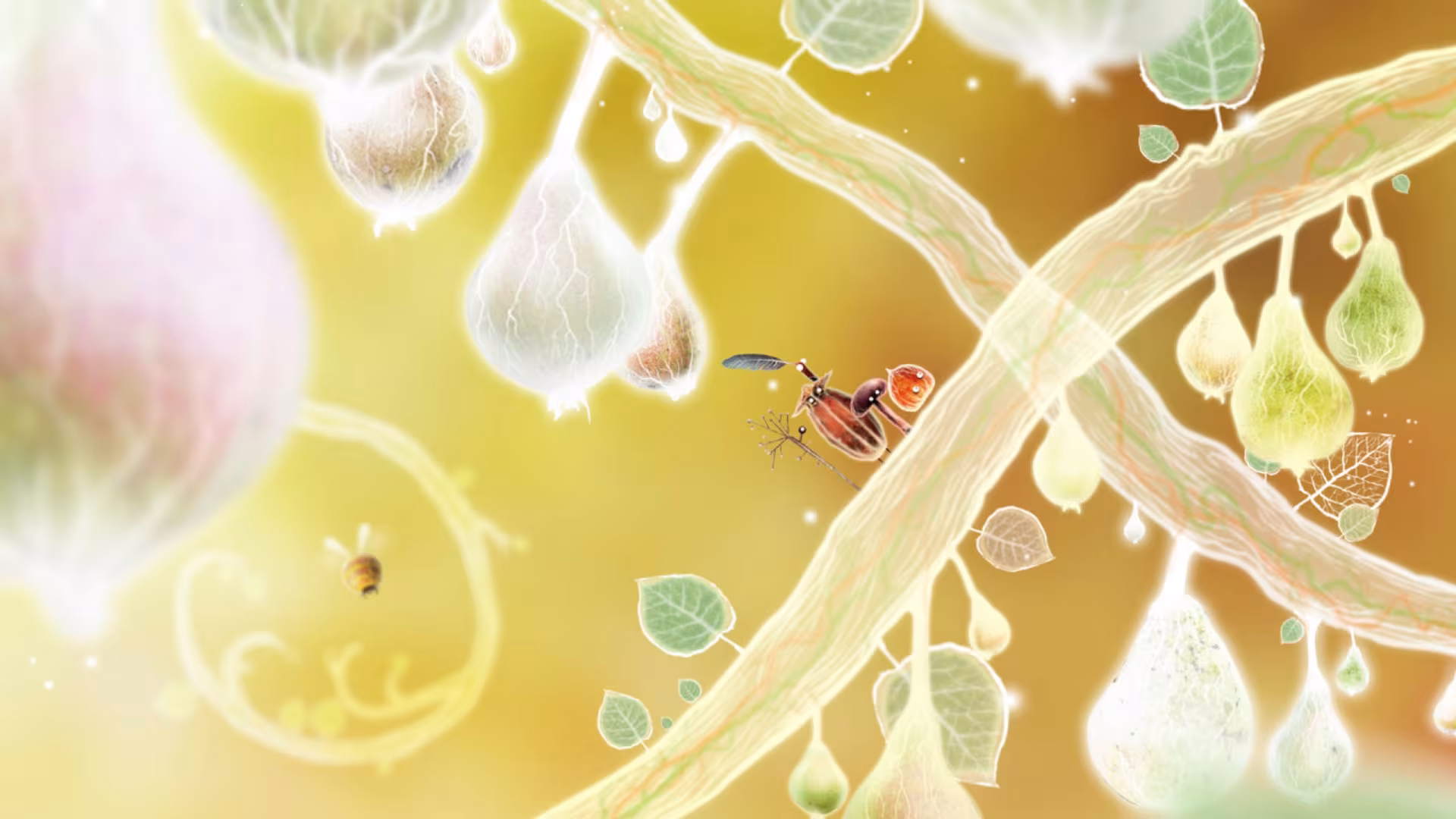 Botanicula - botanicula_5.avif