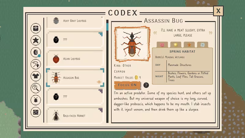 Bug & Seek - bug-seek_2.avif