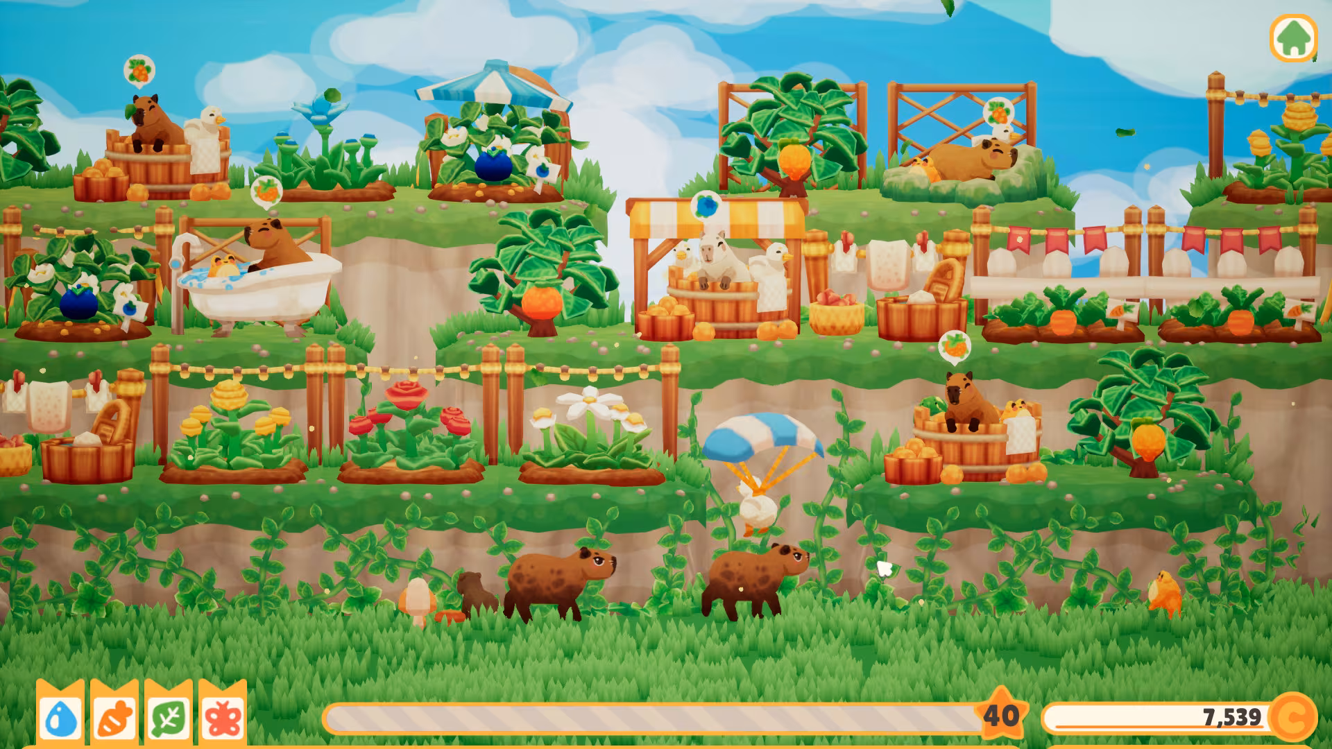 Capybara Spa - capybara-spa_6.avif
