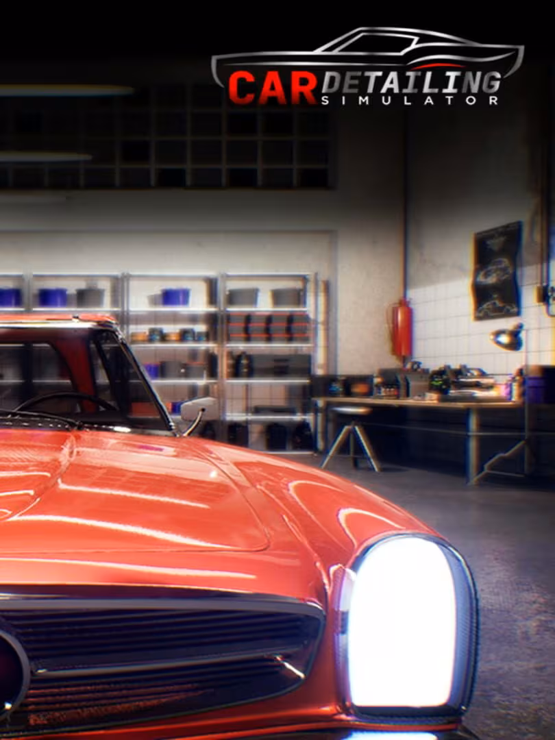 Capsule for Car Detailing Simulator