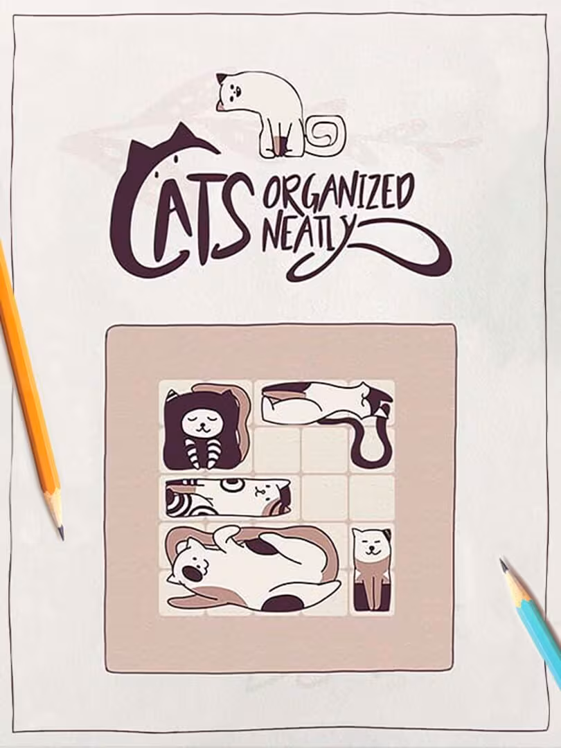 Capsule for Cats Organized Neatly
