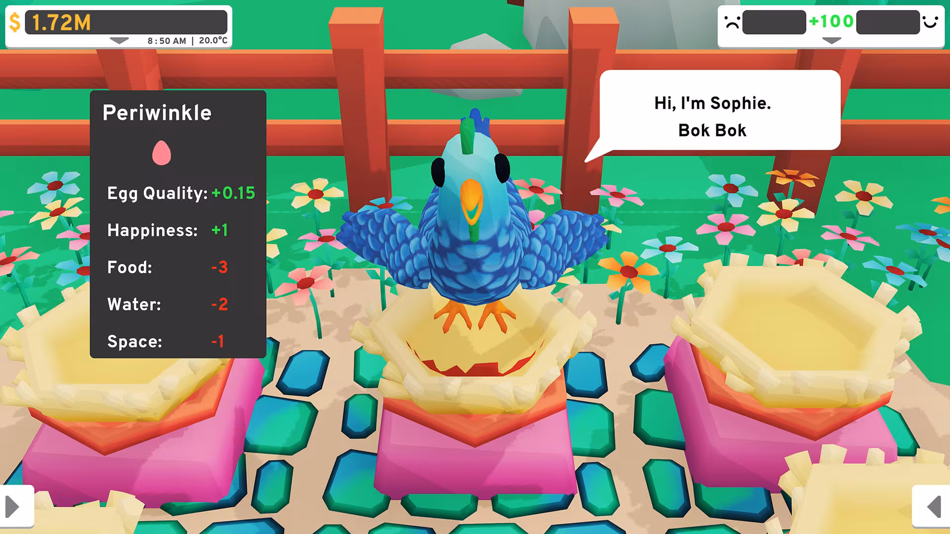 Cheeky Chooks - cheeky-chooks_5.avif
