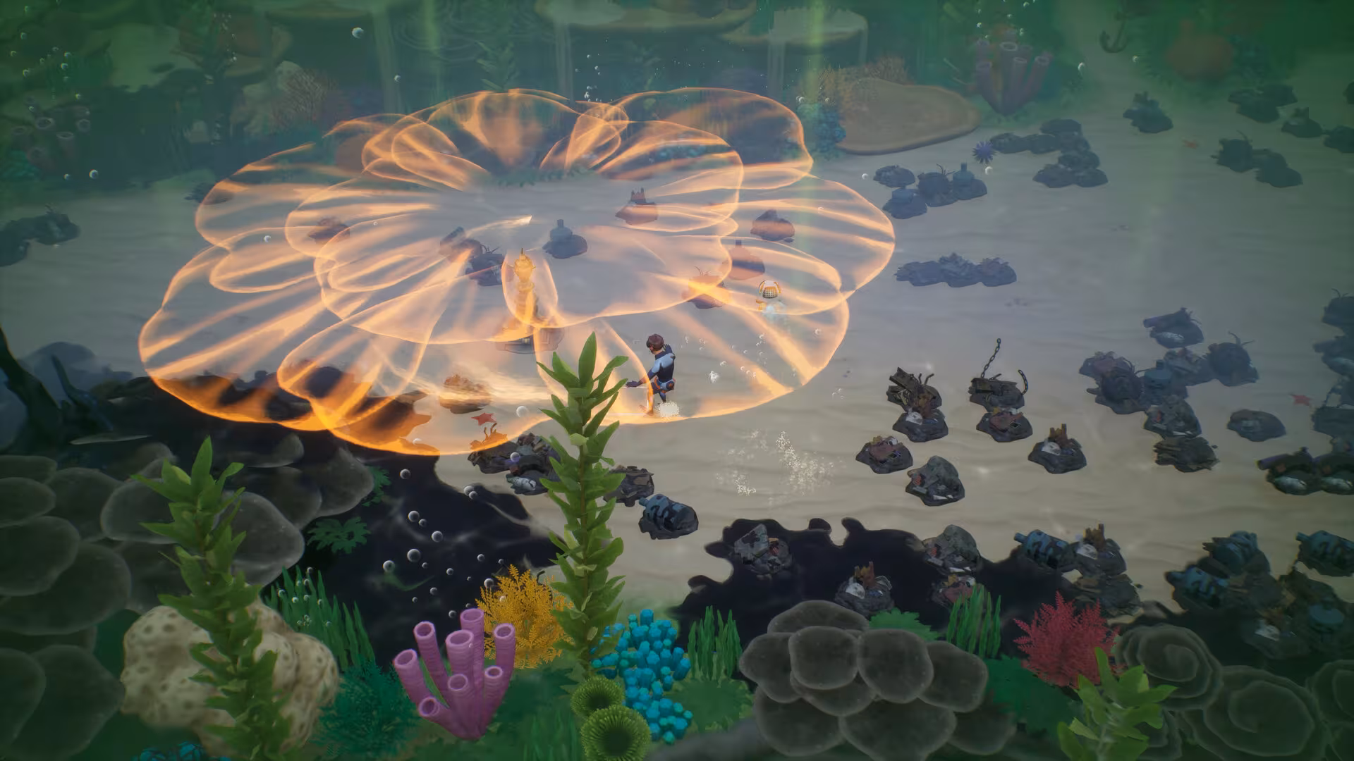 Coral Island - coral-island_2.avif