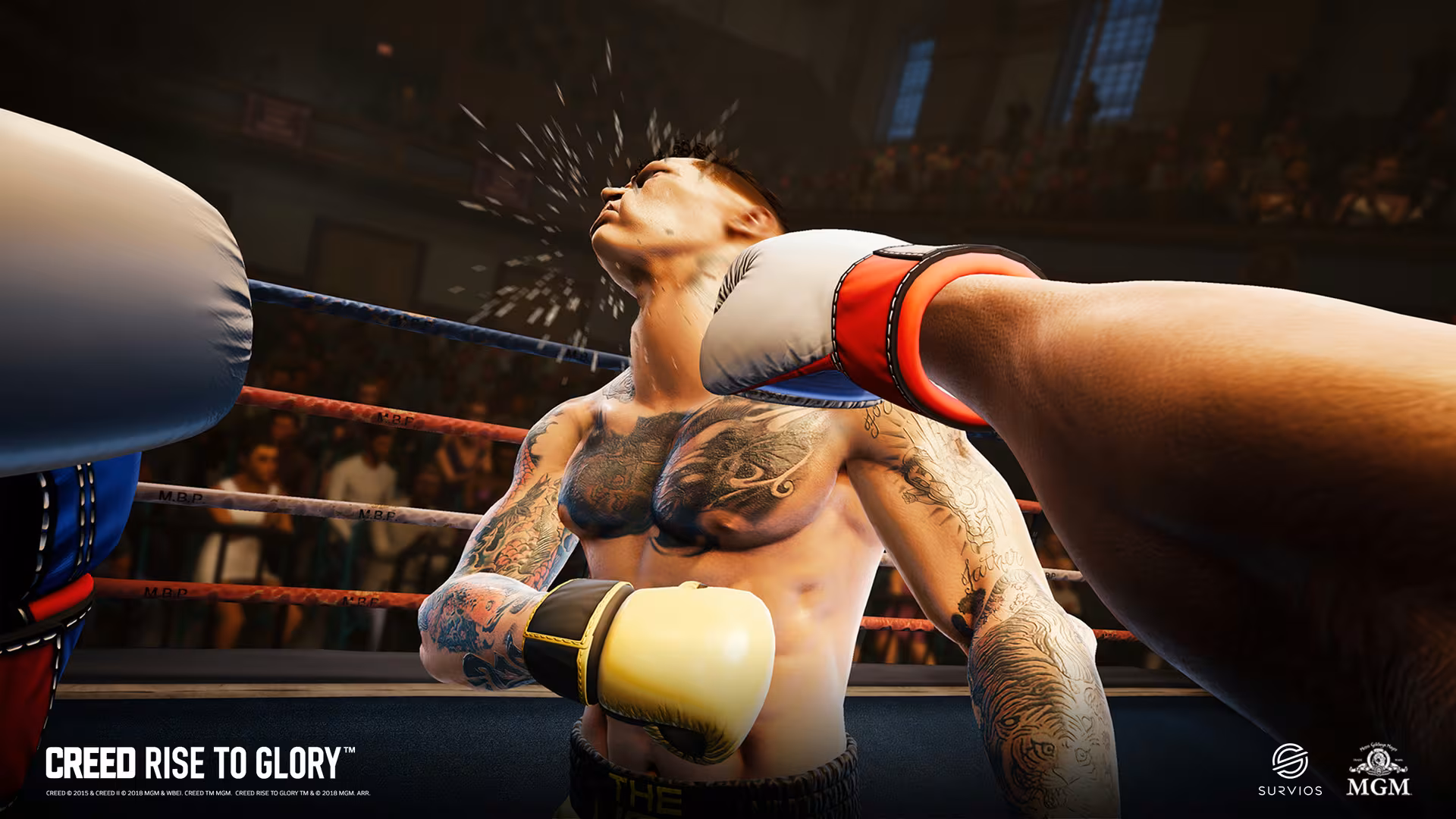 Creed: Rise to Glory™ - creed-rise-to-glory_3.avif
