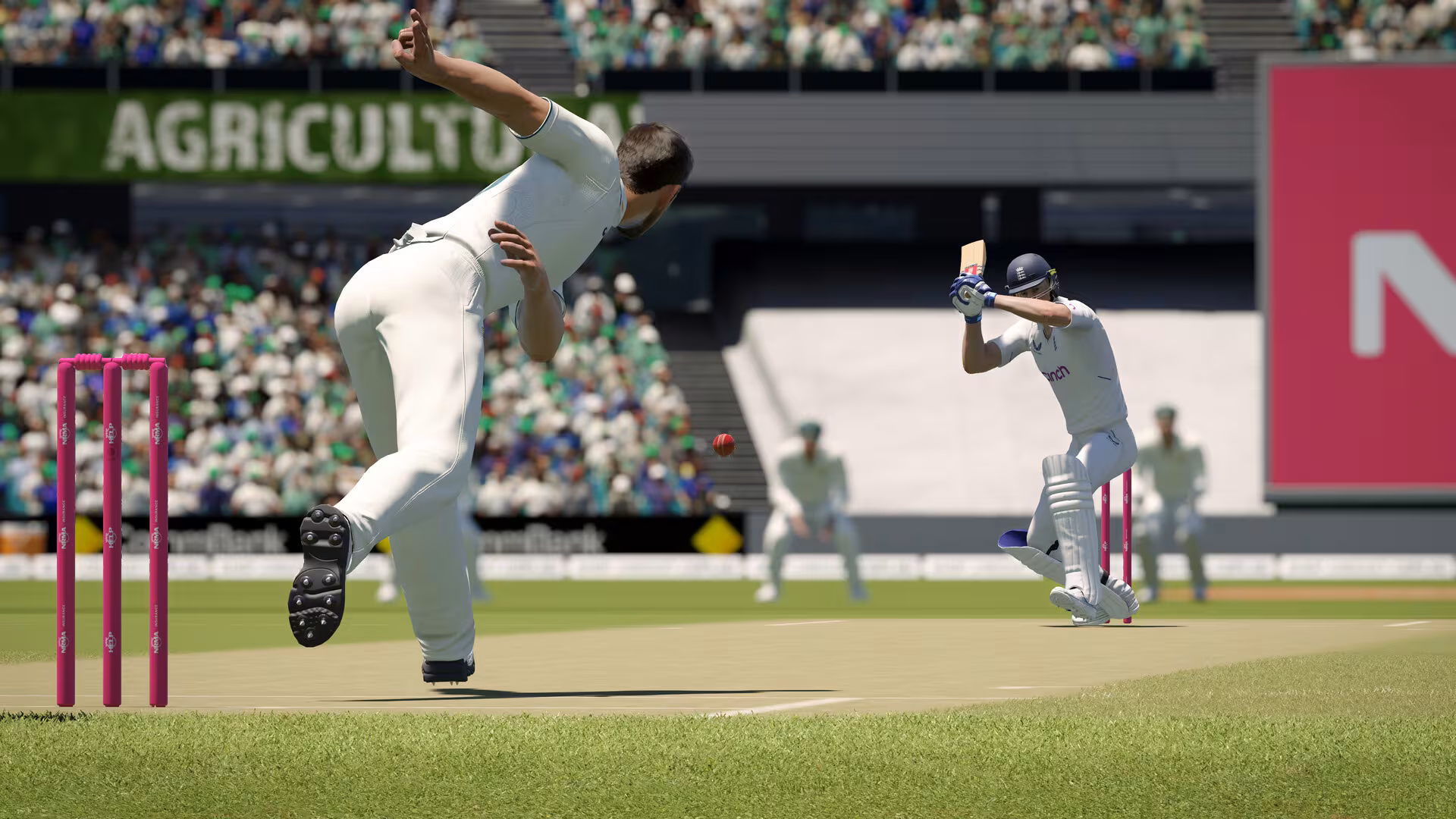 Cricket 24 - cricket-24_6.avif
