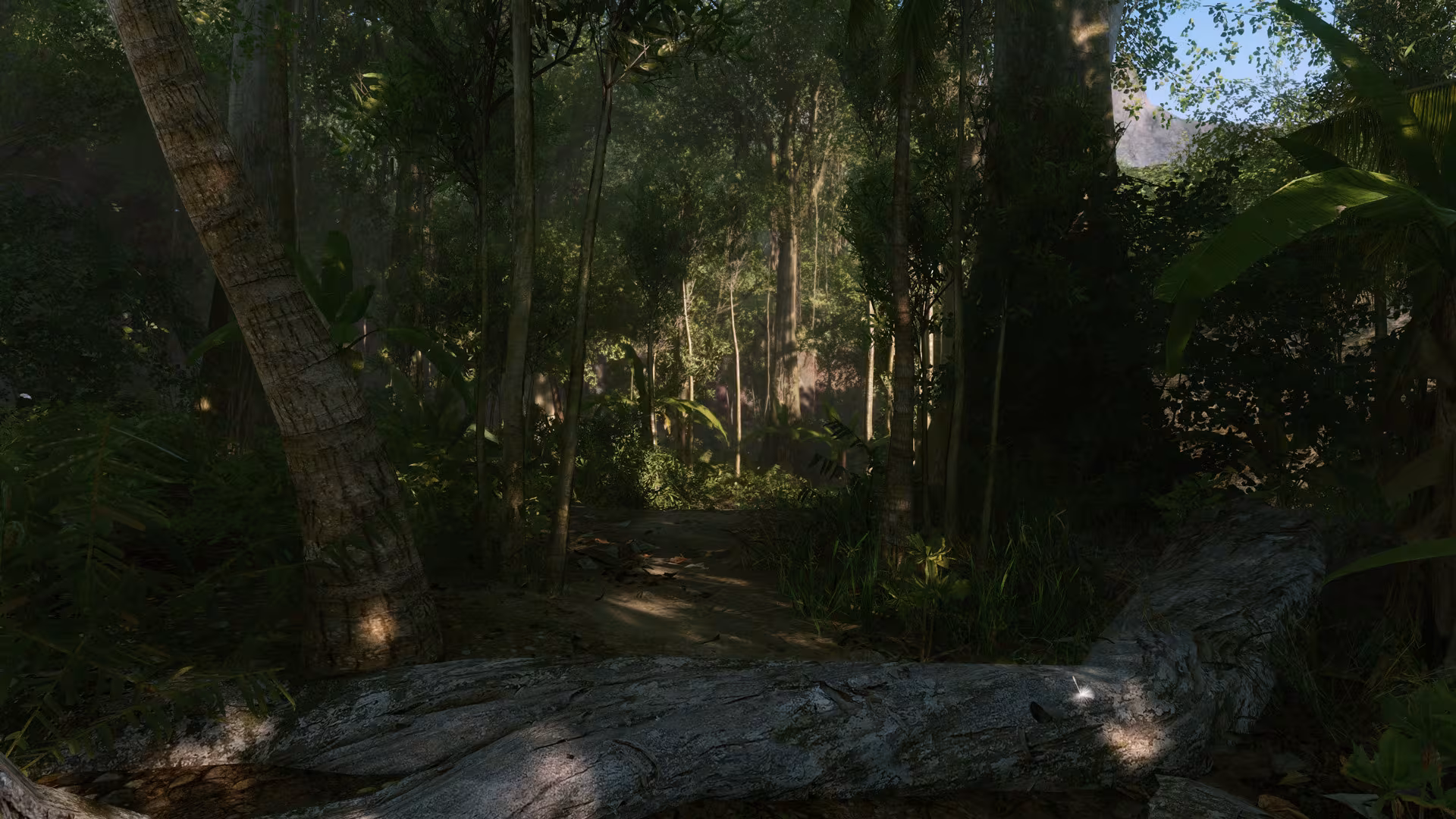 Crysis Remastered - crysis-remastered_4.avif