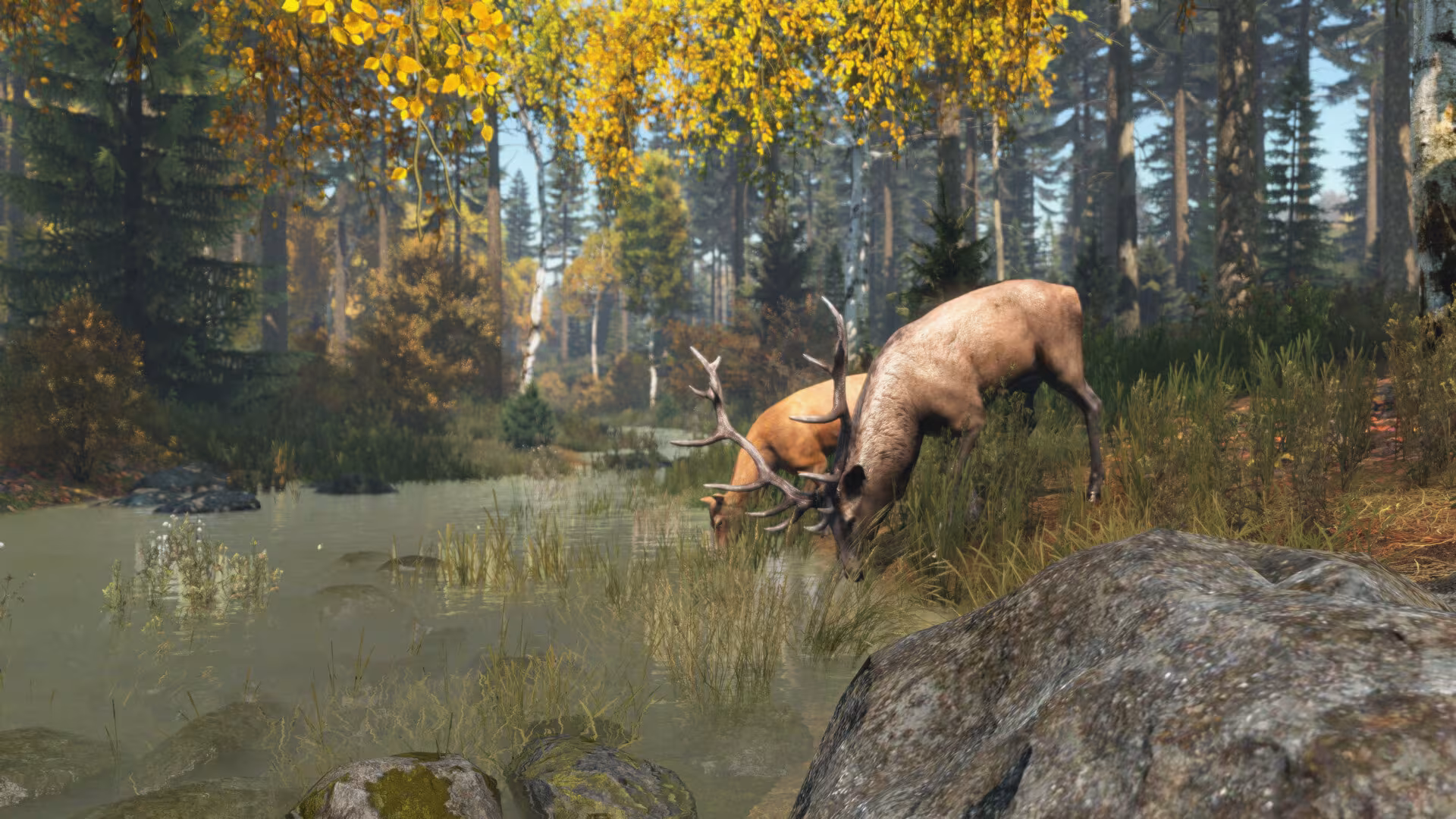 DayZ - dayz_6.avif
