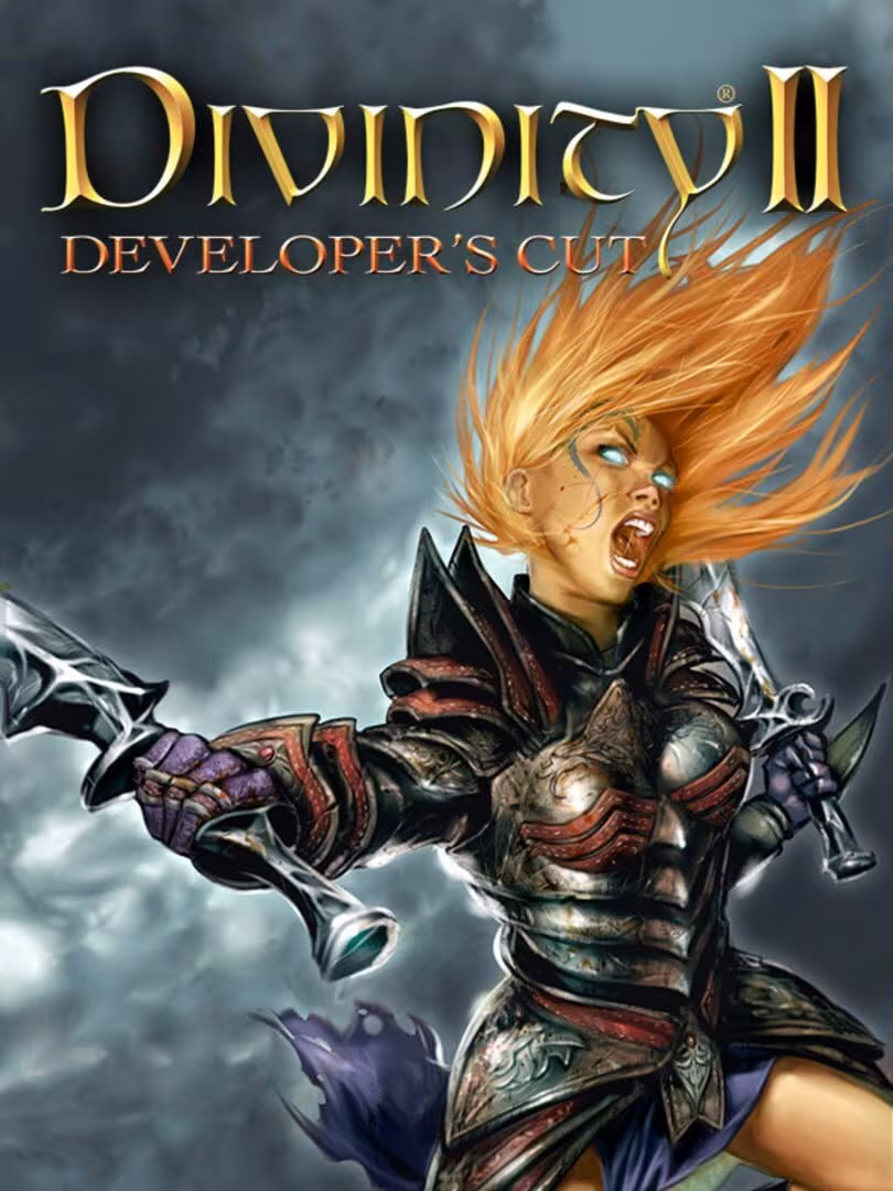 Capsule for Divinity II: Developer's Cut