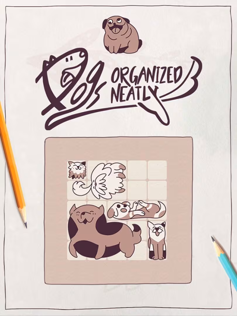 Capsule for Dogs Organized Neatly