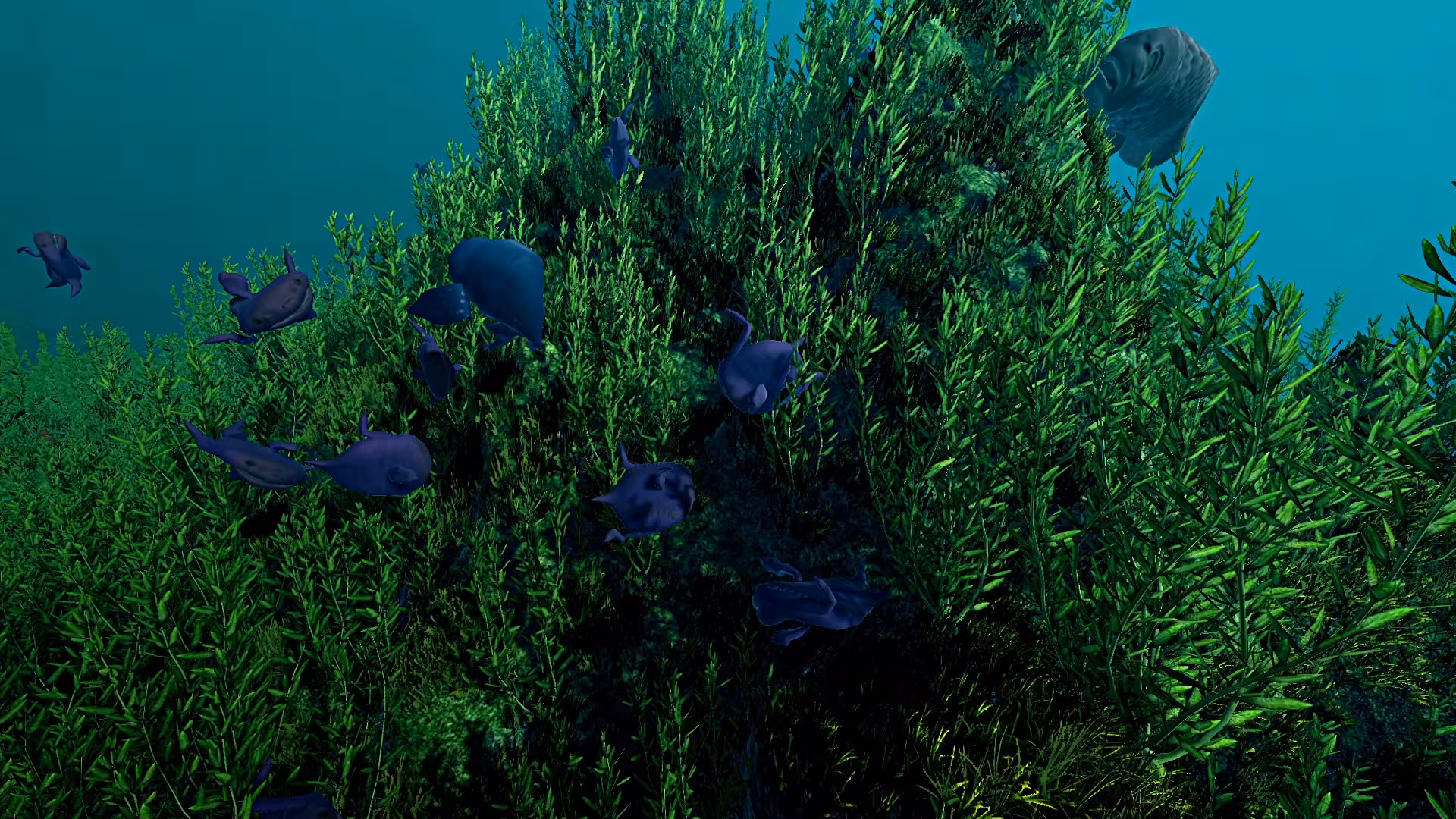 Ecosystem - ecosystem_4.avif