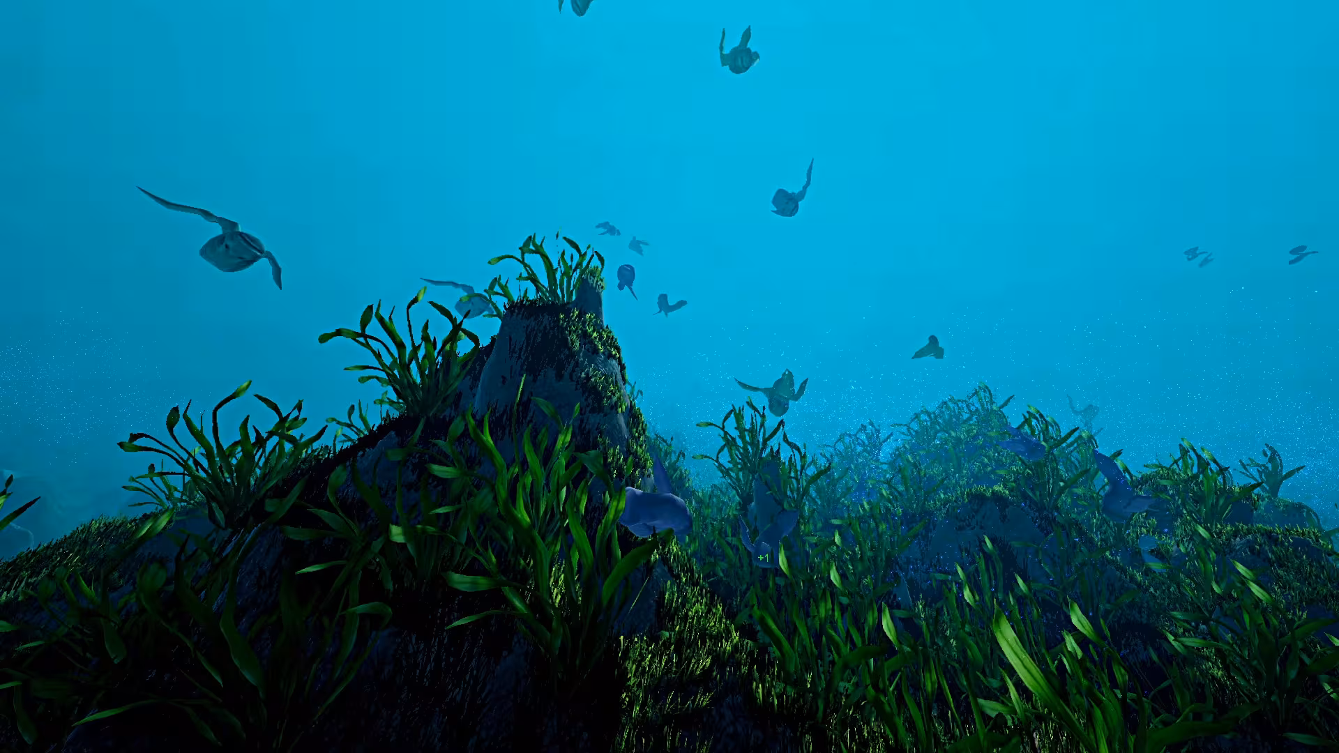 Ecosystem - ecosystem_6.avif