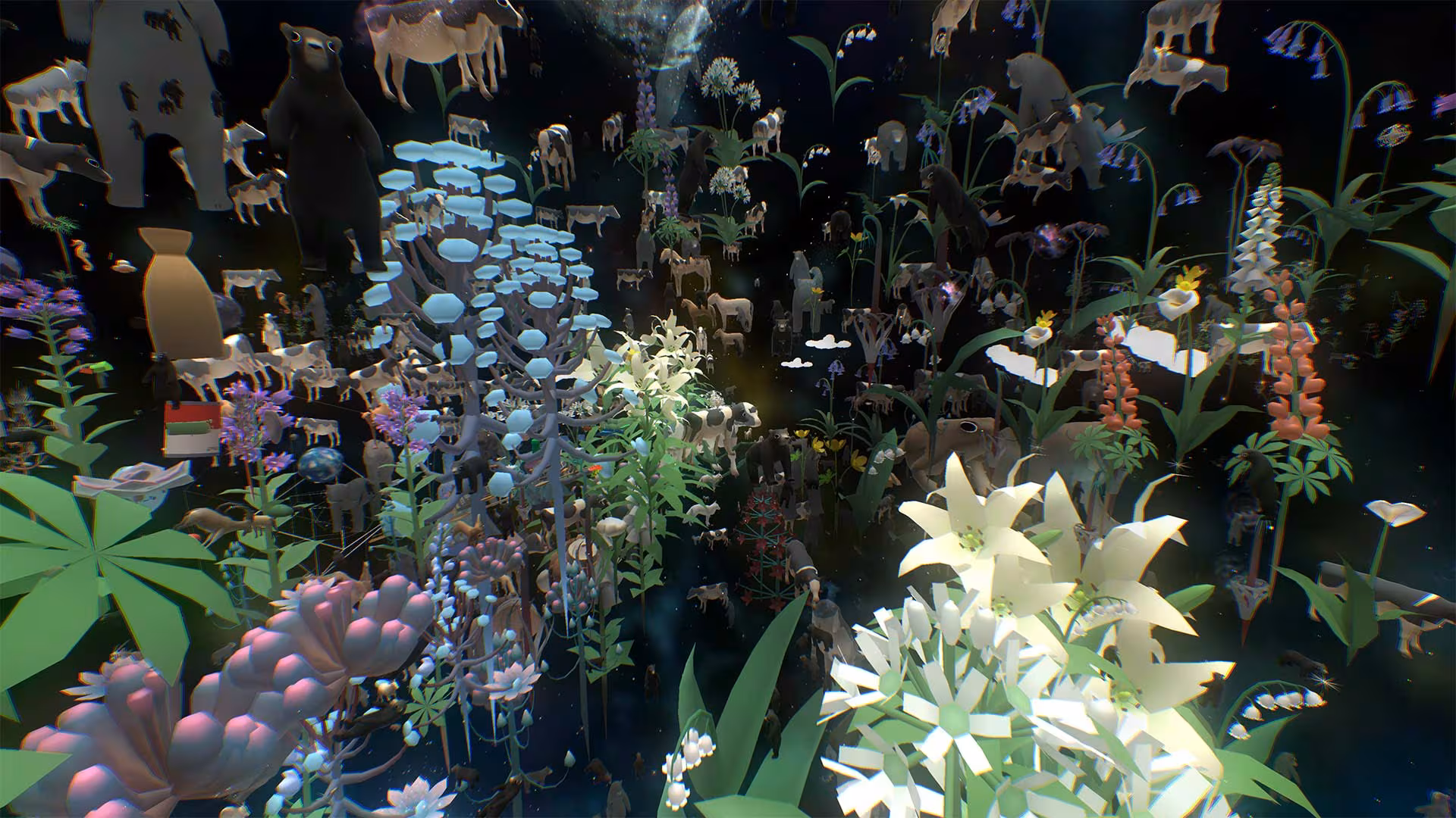 Everything - everything_6.avif