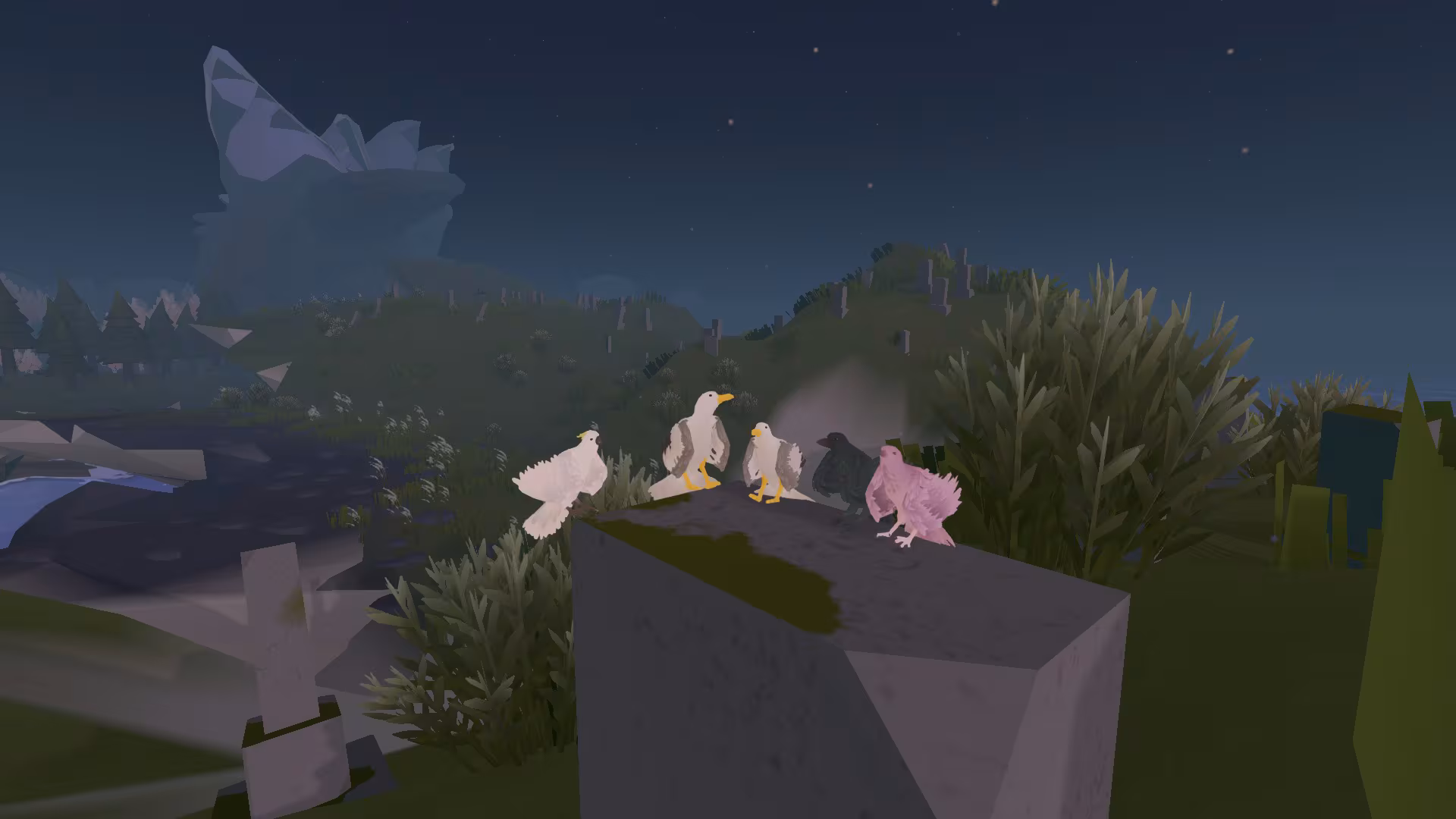 Feather - feather_1.avif
