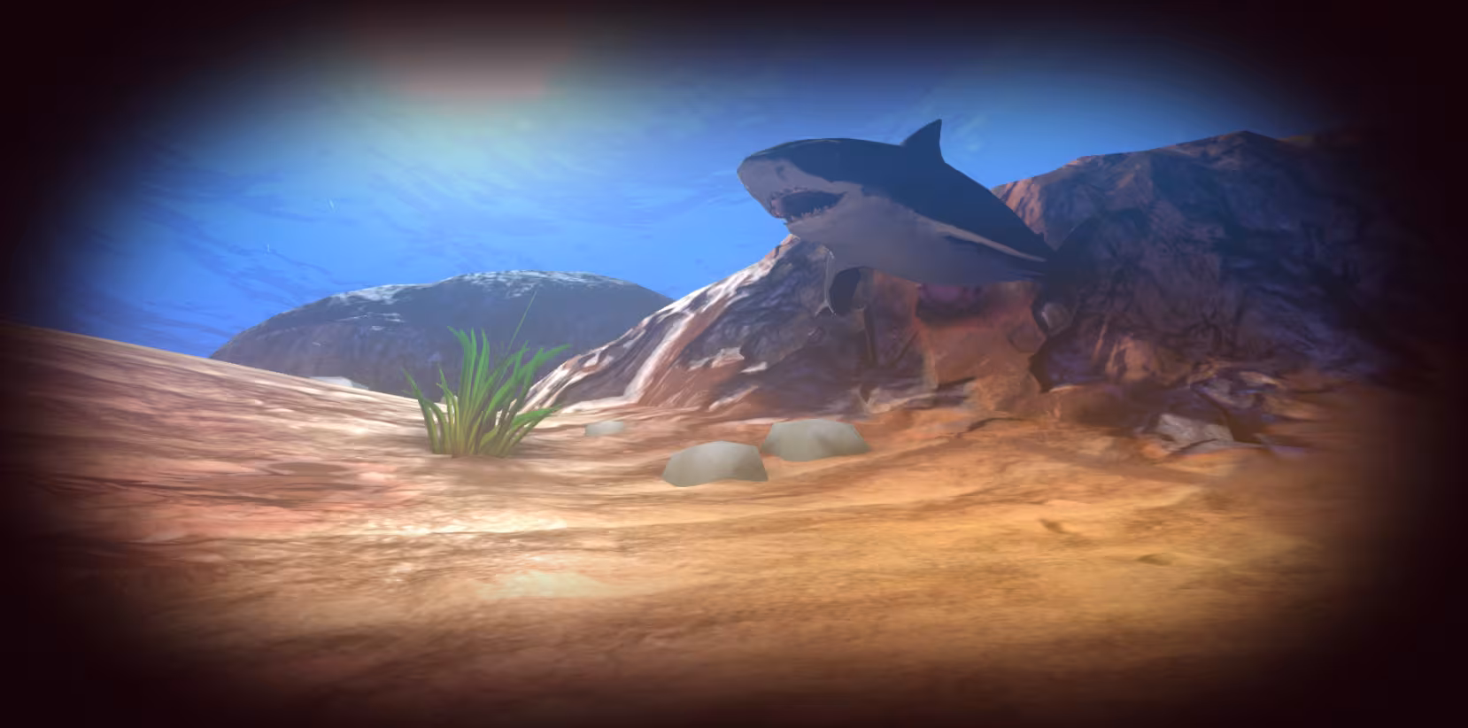 Feed and Grow: Fish - feed-and-grow-fish_3.avif