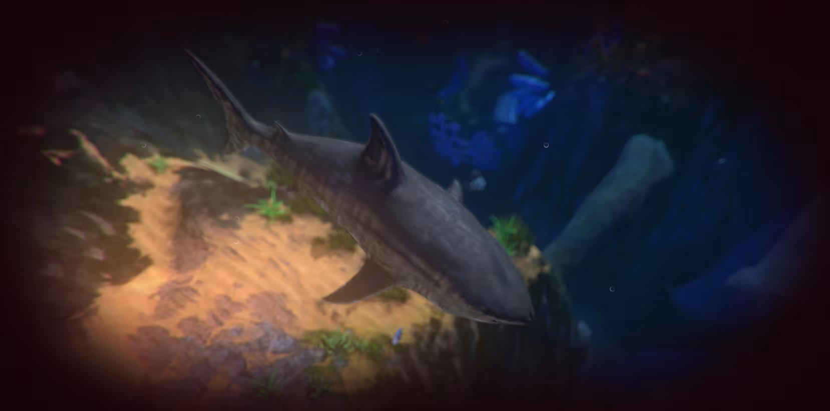Feed and Grow: Fish - feed-and-grow-fish_4.avif