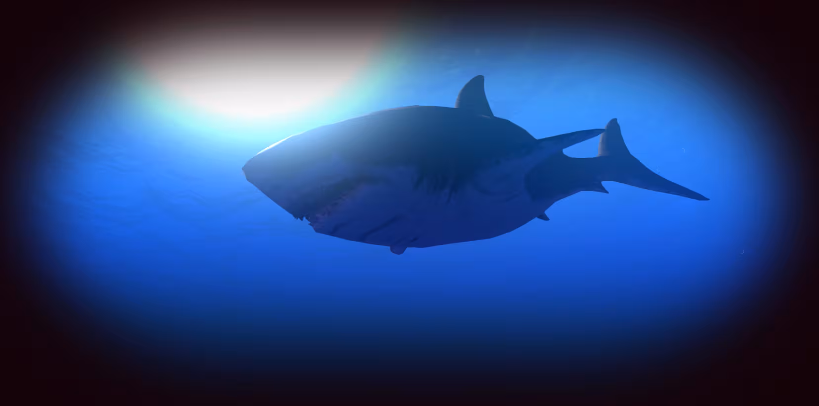 Feed and Grow: Fish - feed-and-grow-fish_5.avif