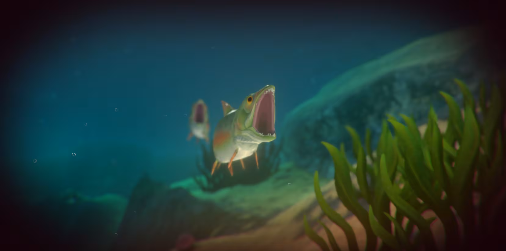Feed and Grow: Fish - feed-and-grow-fish_6.avif